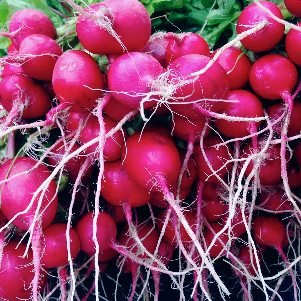 Veg-radishes.jpg