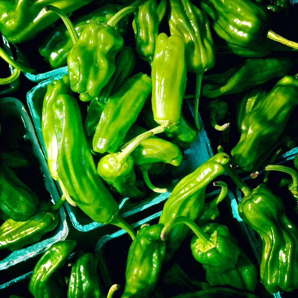 Veg-shishitopeppers2.jpg