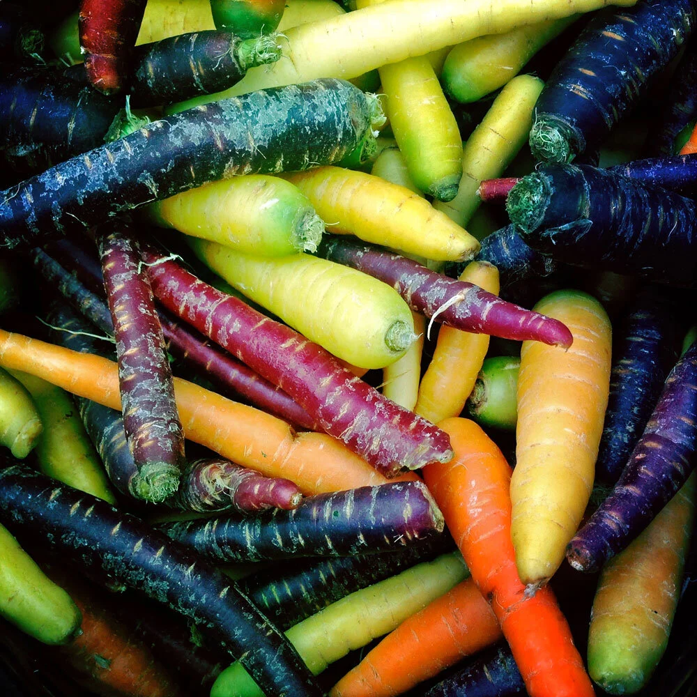 Veg-rainbow-carrots.jpg