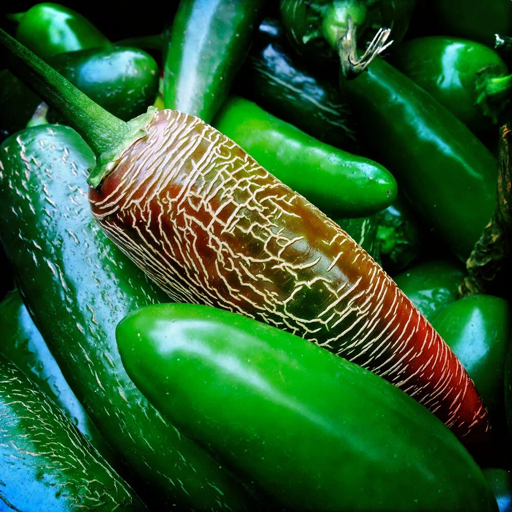 Veg-sm-peppers-closeup.jpg