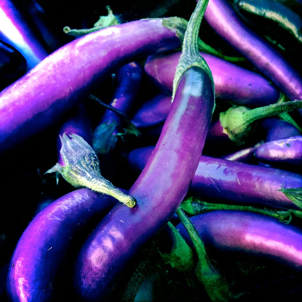 Veg-eggplant1.jpg
