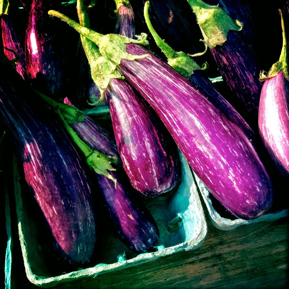Veg-eggplant2.jpg