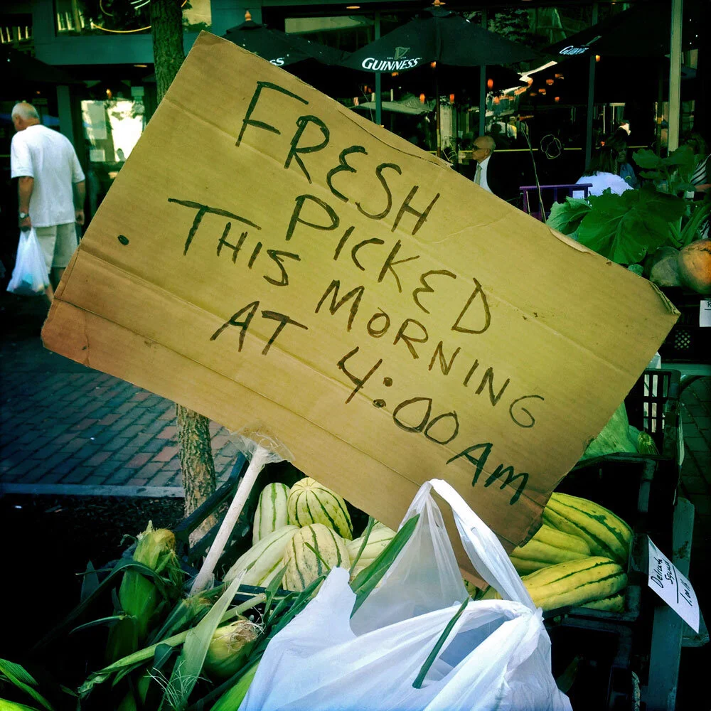 Veg-fresh-picked-sign.jpg