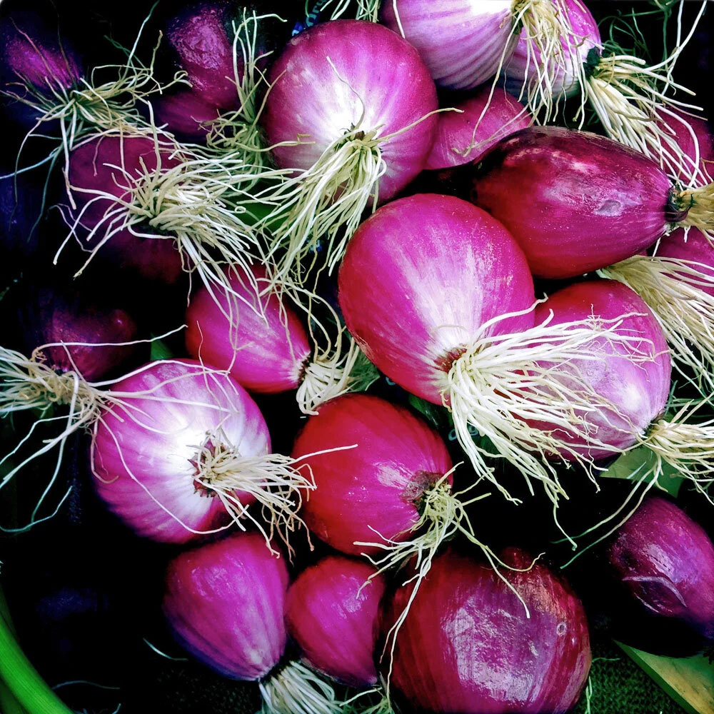 Veg-red-onion.jpg