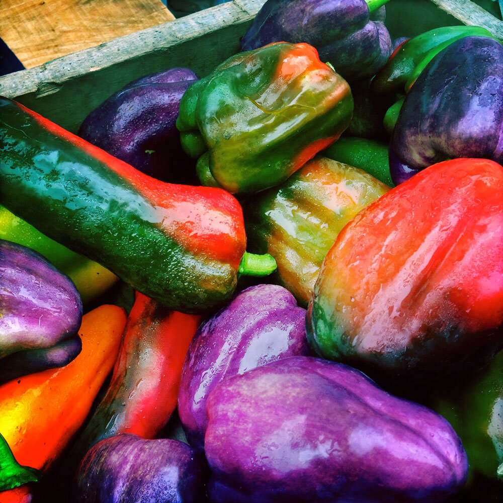 Veg-peppers-colorful2.jpg