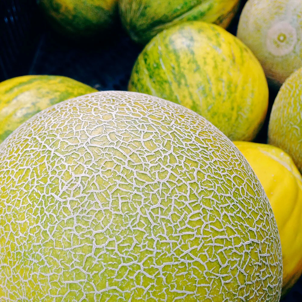 Veg-cantaloupe.jpg