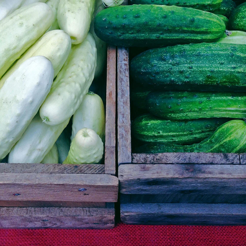 Veg-cukes-segregated.jpg