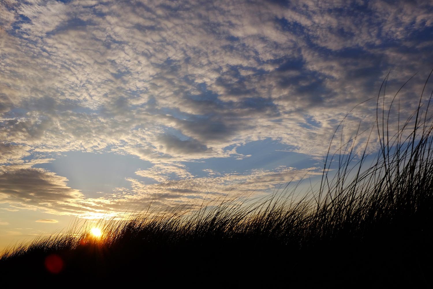 DSCF2706-beach-grass-big-sky-web.jpg