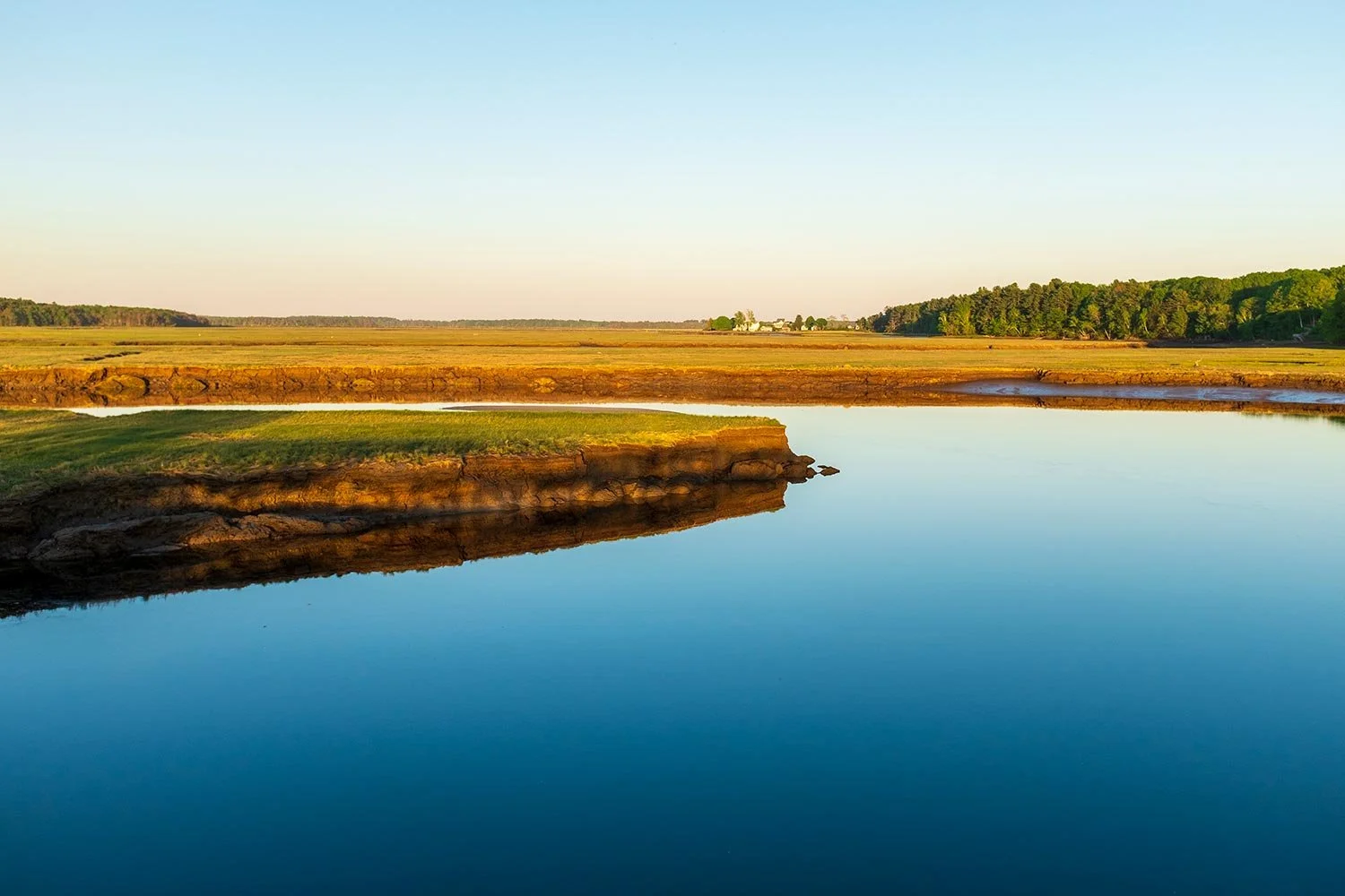 DSCF4694-marsh-landscape-web.jpg
