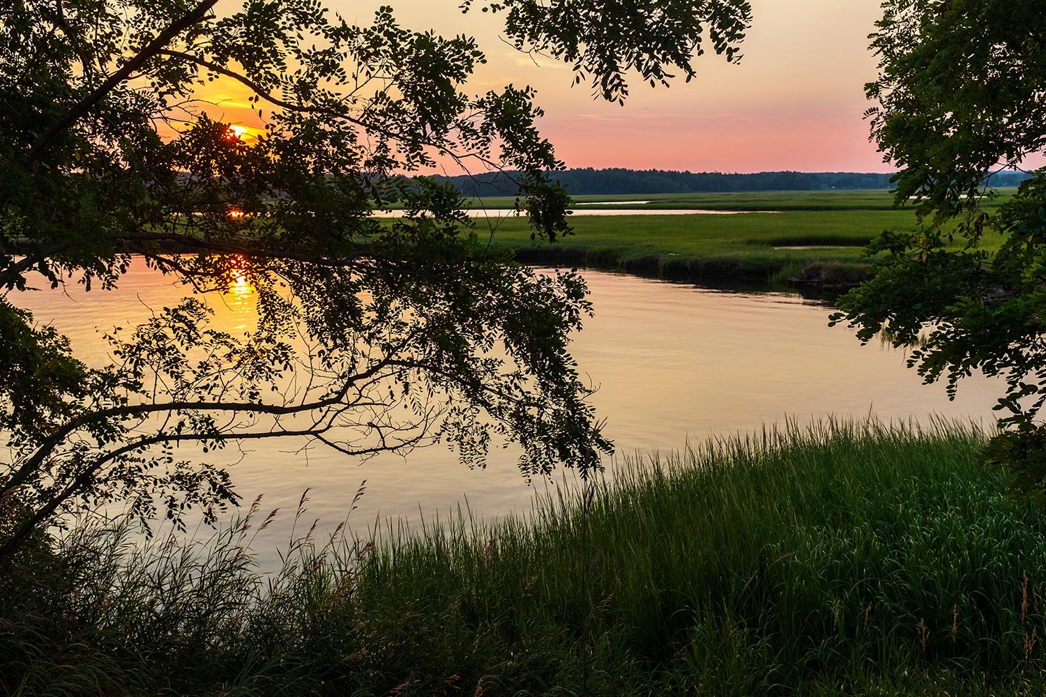 DSCF7883-marsh-sunset-thru-trees-web.jpg