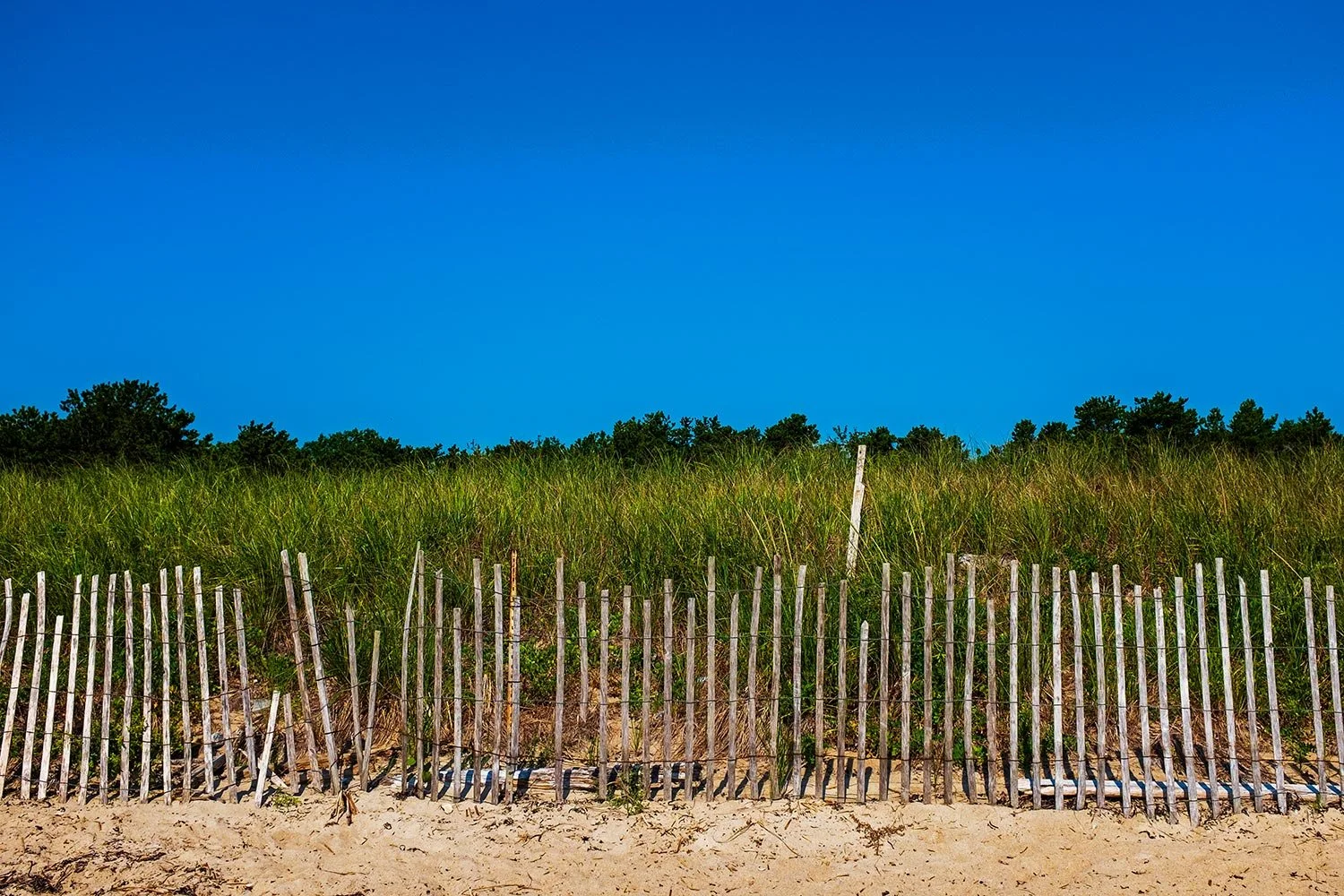DSCF9664-beach-fence-scarb-beach-web.jpg