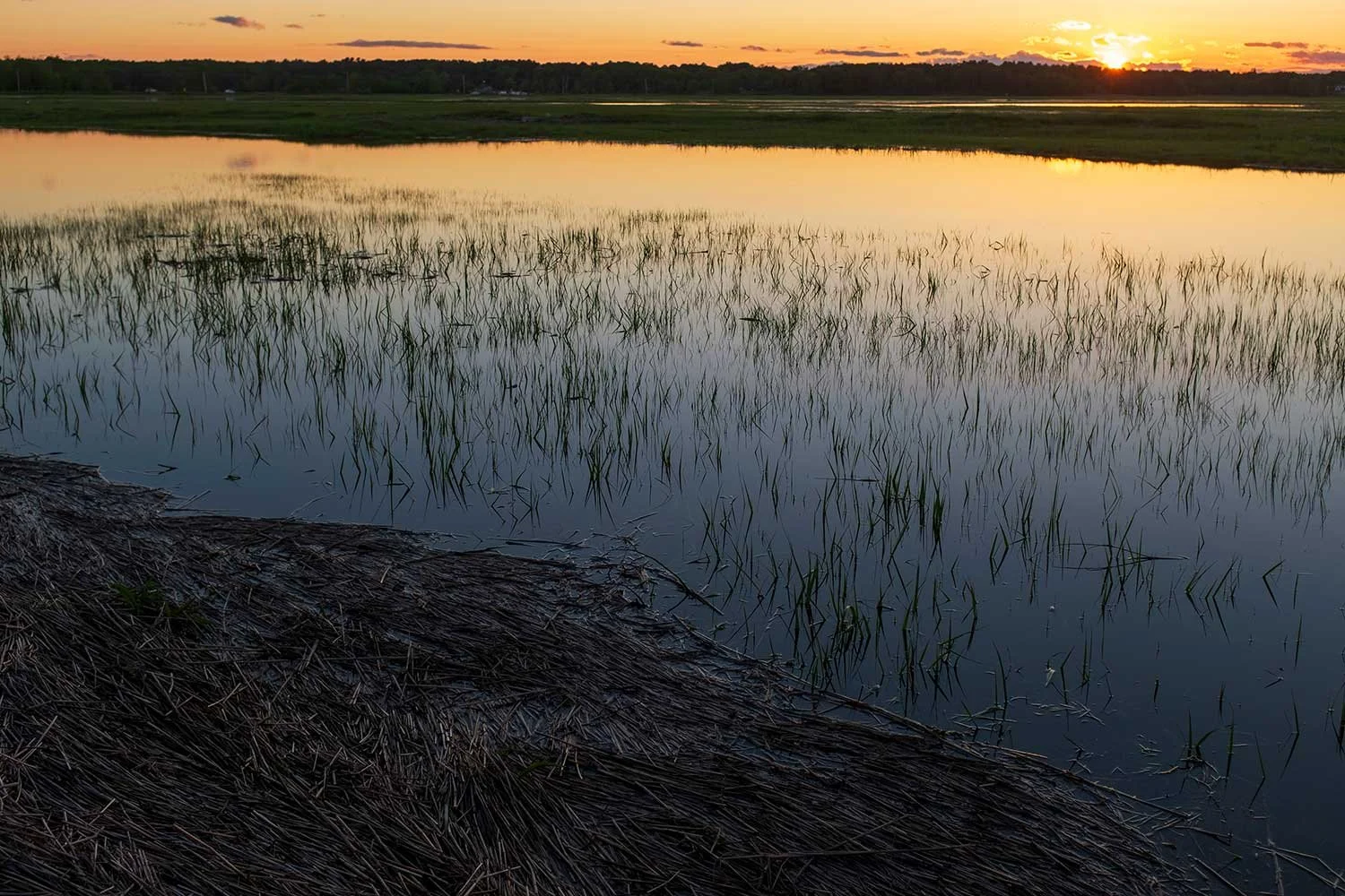 DSCF6187-mucky-marsh-sunset-web.jpg