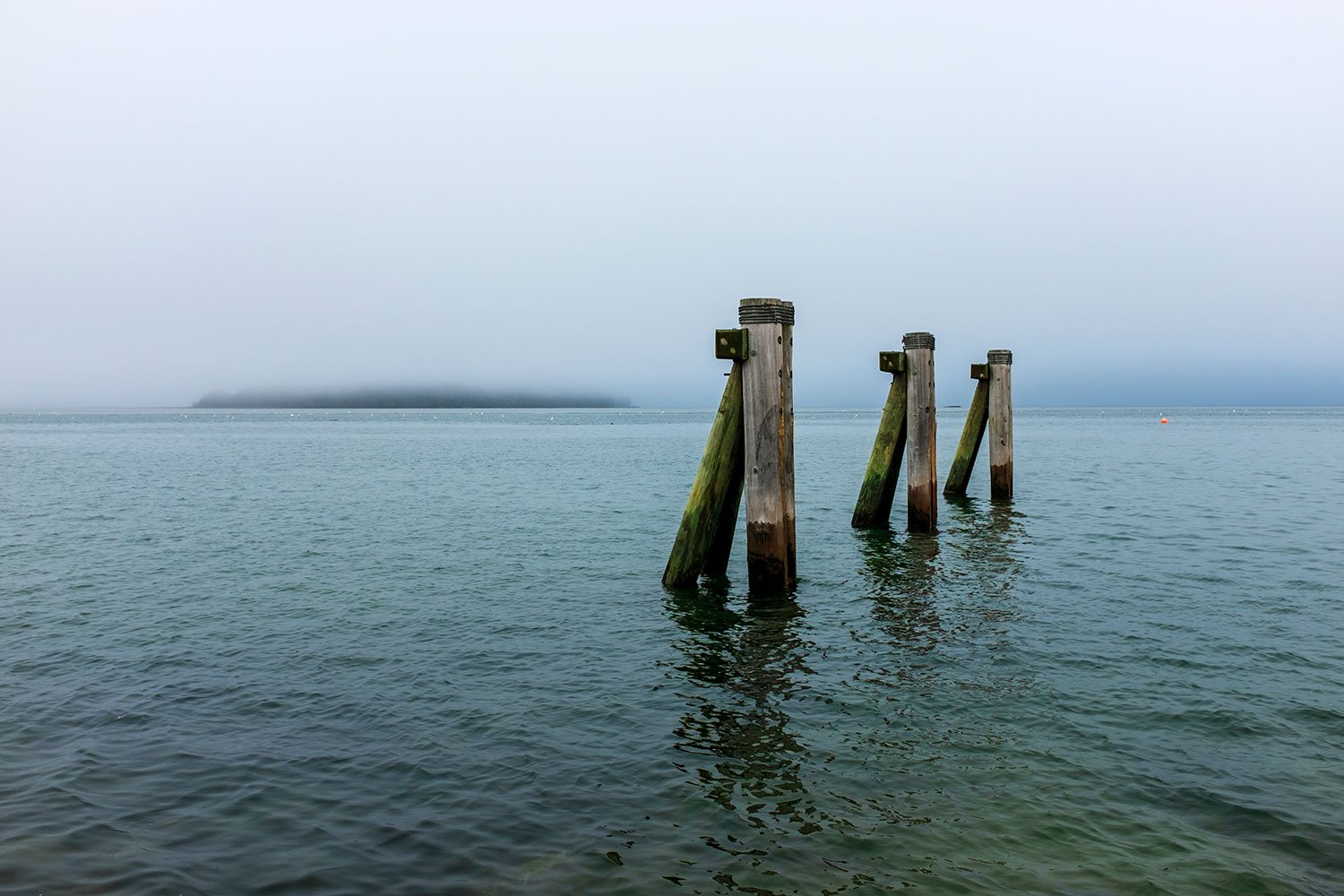 DSCF0482-portland-pilings-web.jpg