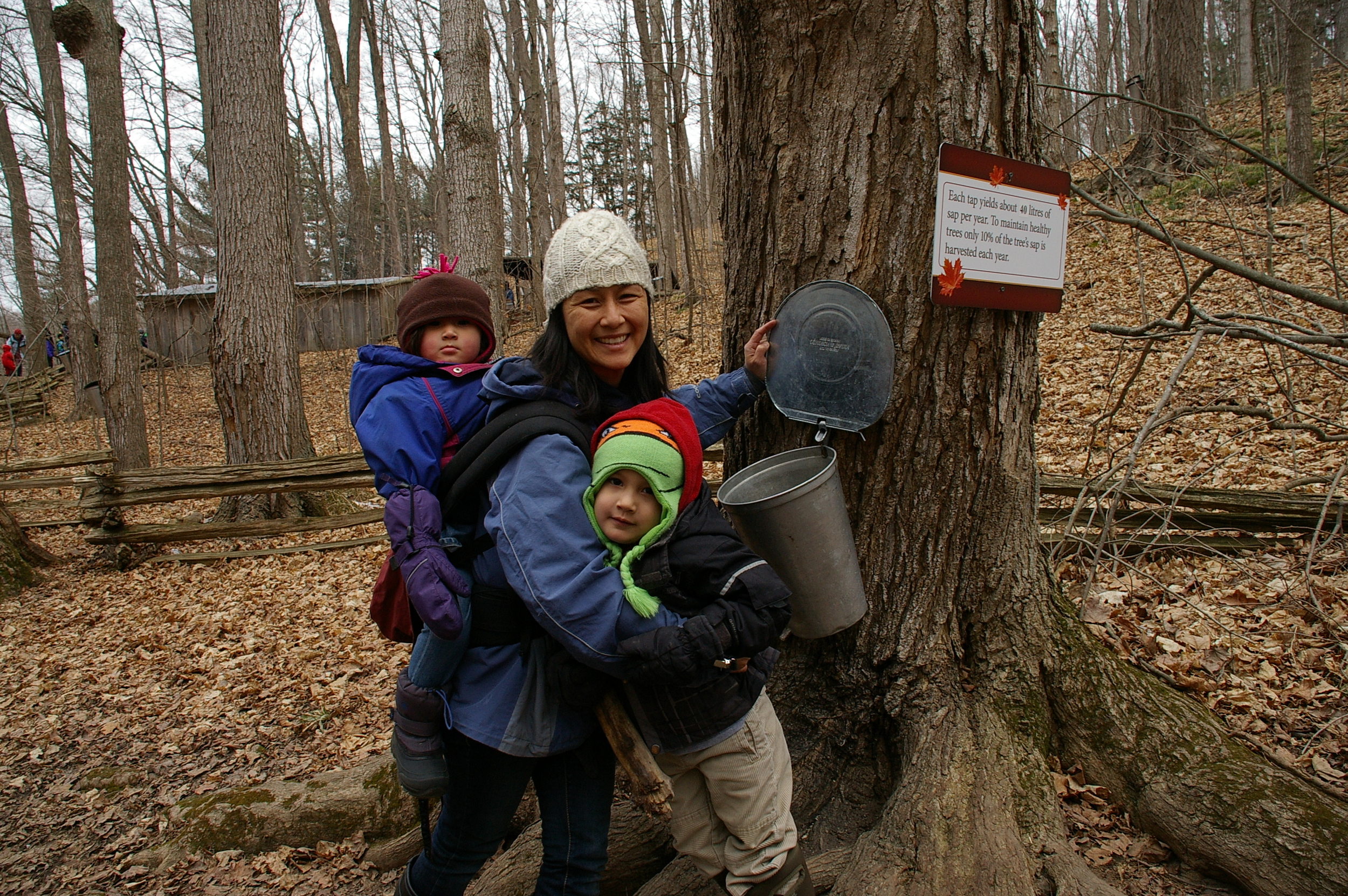 Children and their caregivers on a walk at the maple syrup farm.