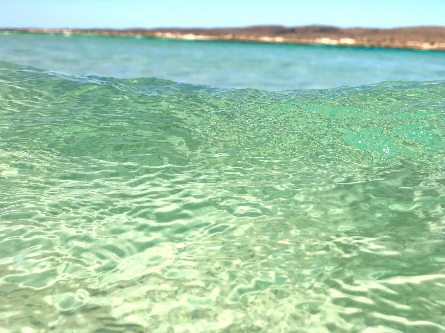 Surely this is one of the best beaches in the world? 🤔 It was an absolute privilege being here! #tourquisebay #turquoise #photooftheday #style #design #like #love #photo #color #colorful #professionalphotographer #art #melbourne #australia #amazing 