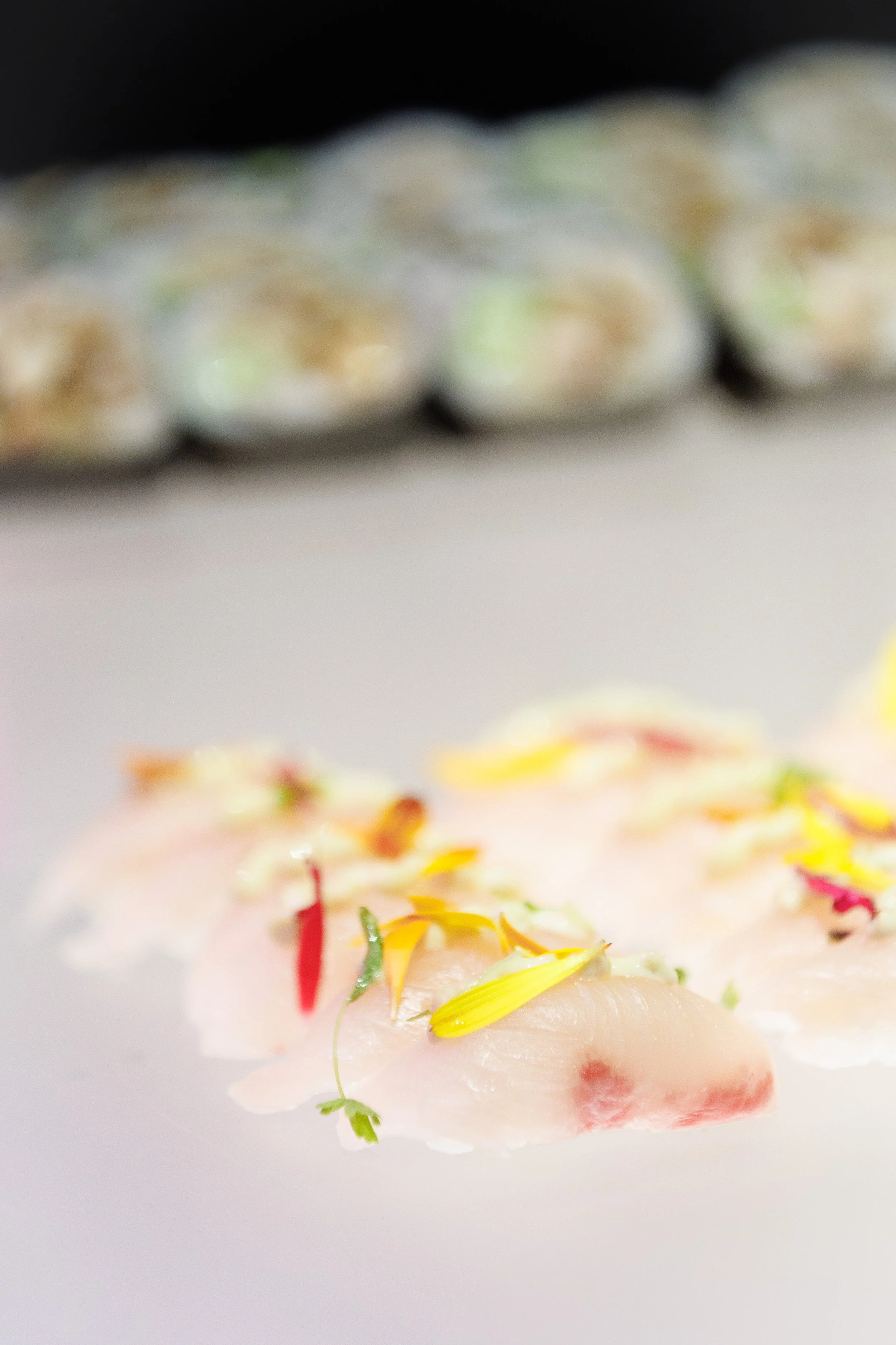 sushi-1.jpg