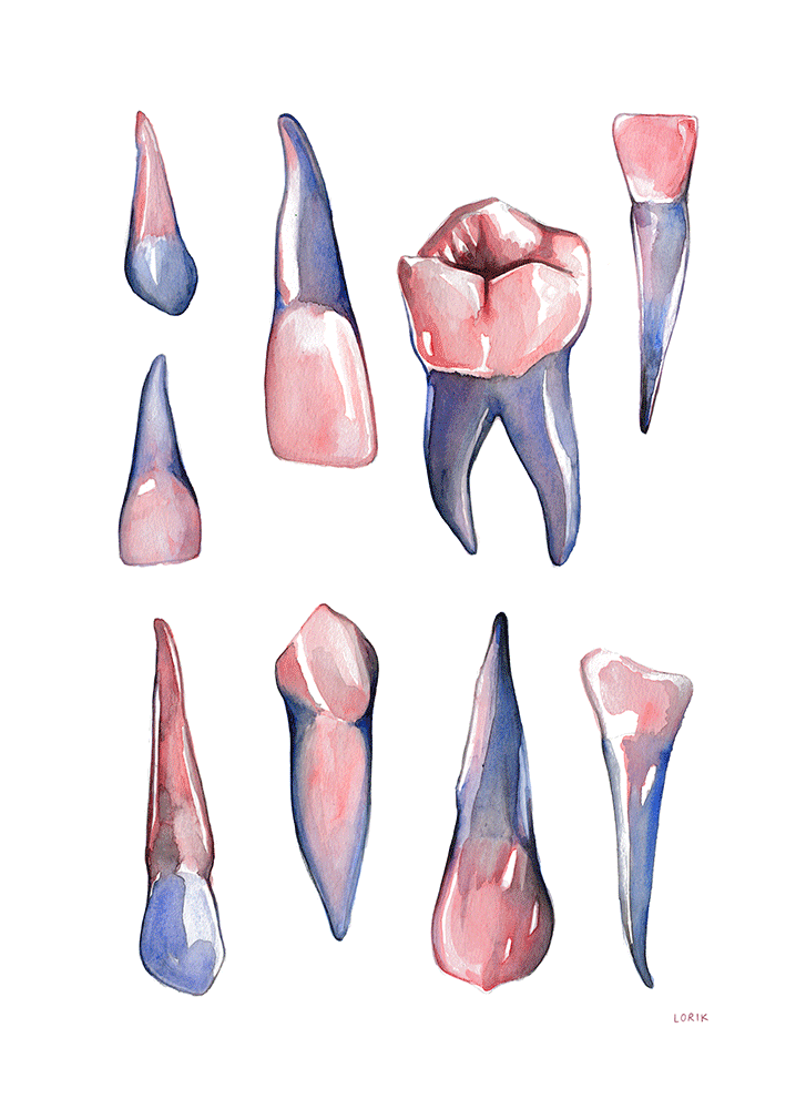 Teeth.gif