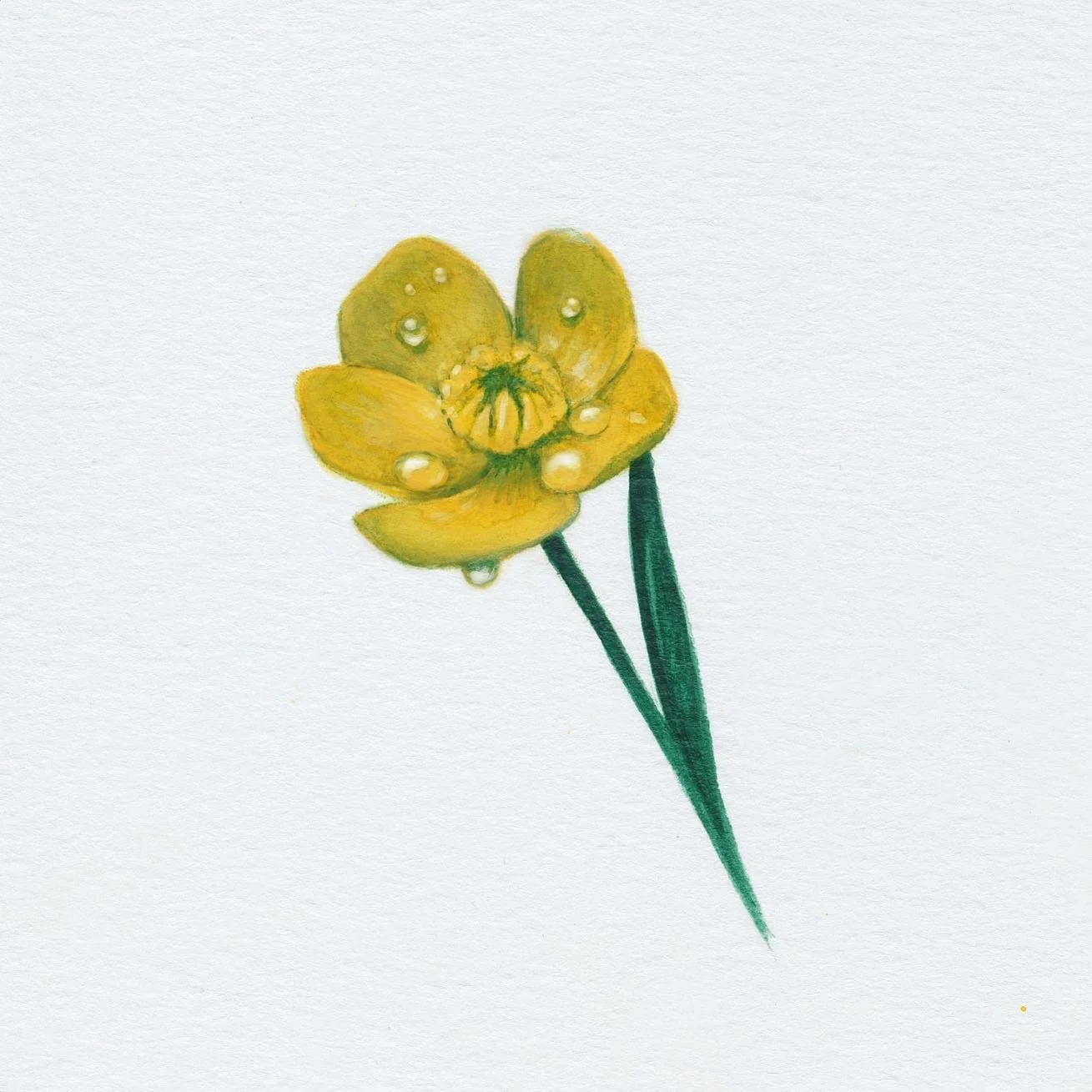 &ldquo;It's a beautiful morning, Sire,&quot; the guard said.

&quot;Yes, it is.&quot;

The Duke nodded, thinking: Perhaps this planet could grow on one. Perhaps it could be a good home for my son.

Then he saw the human figures moving into the flower