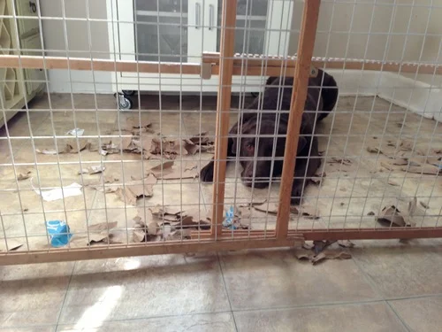 Getting my groove on