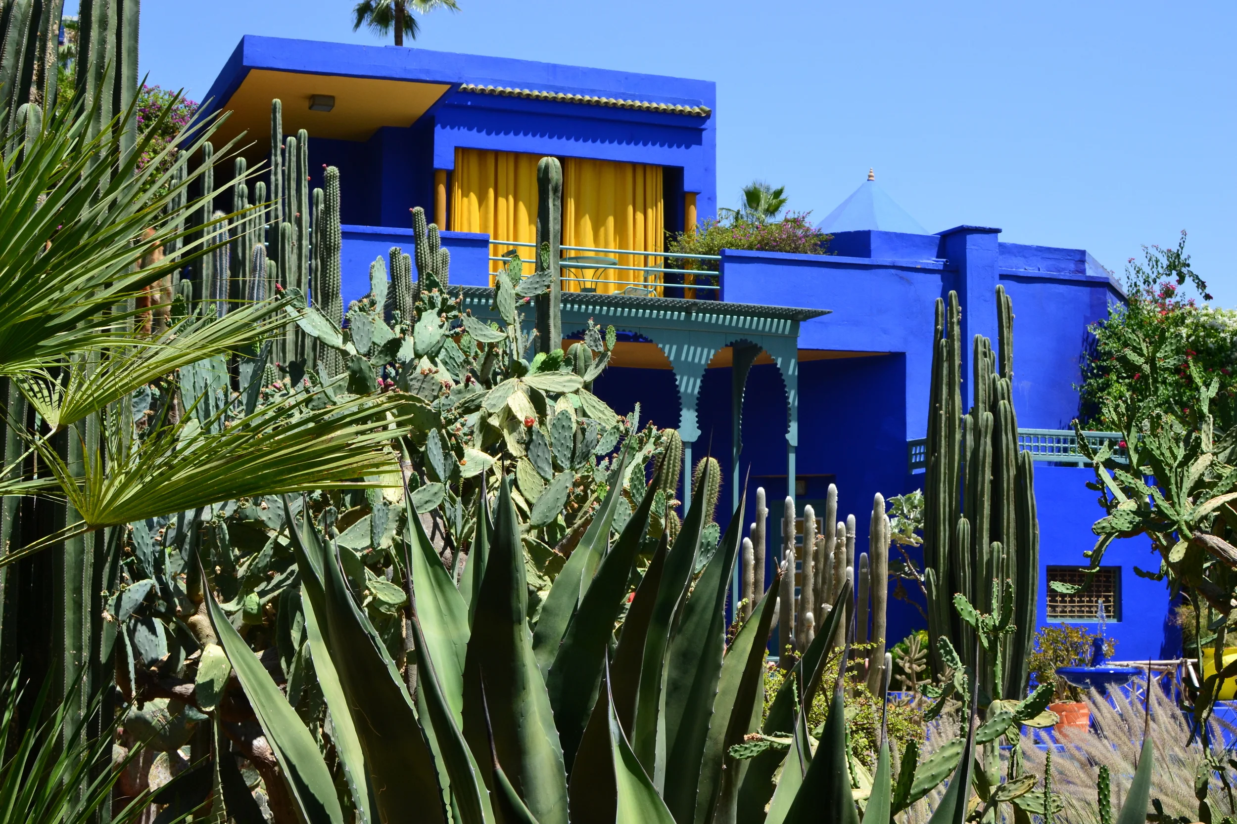 Majorelle Garden, Marrakesh, 2016.