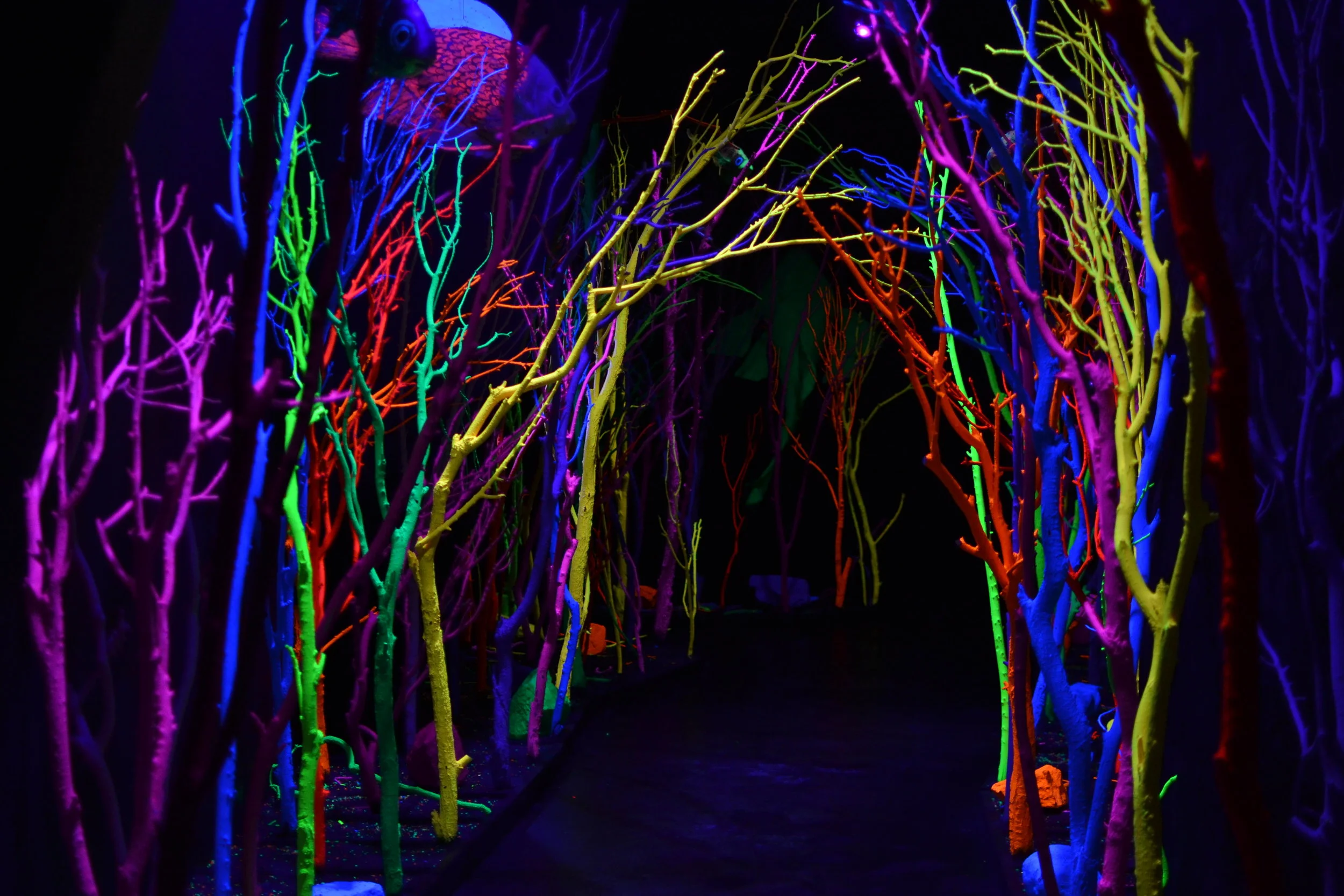 Meow Wolf, New Mexico, 2017.