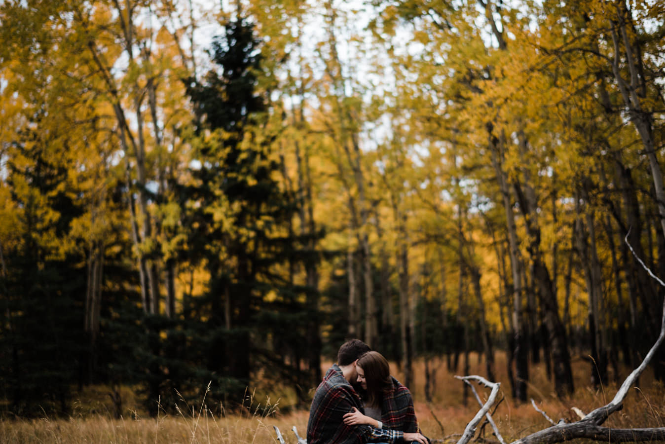 Jim&Nikki_CalgaryWeddingPhotographer17100138.jpg