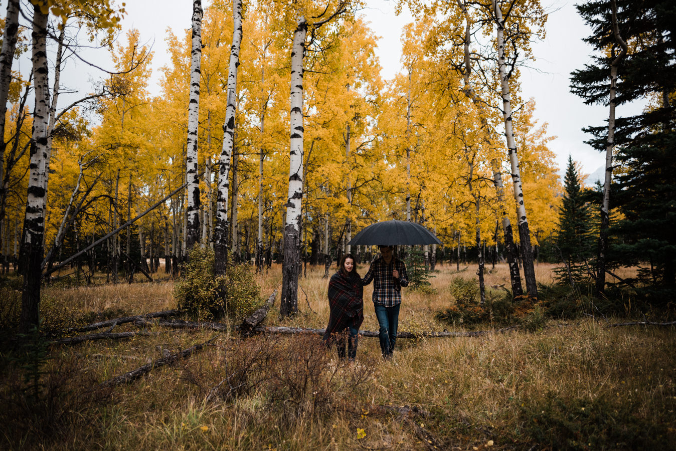 Jim&Nikki_CalgaryWeddingPhotographer17100143.jpg