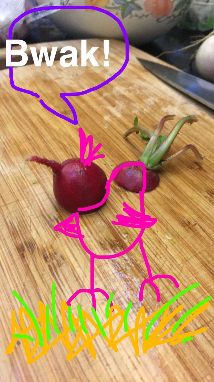 SnapChat5.jpg
