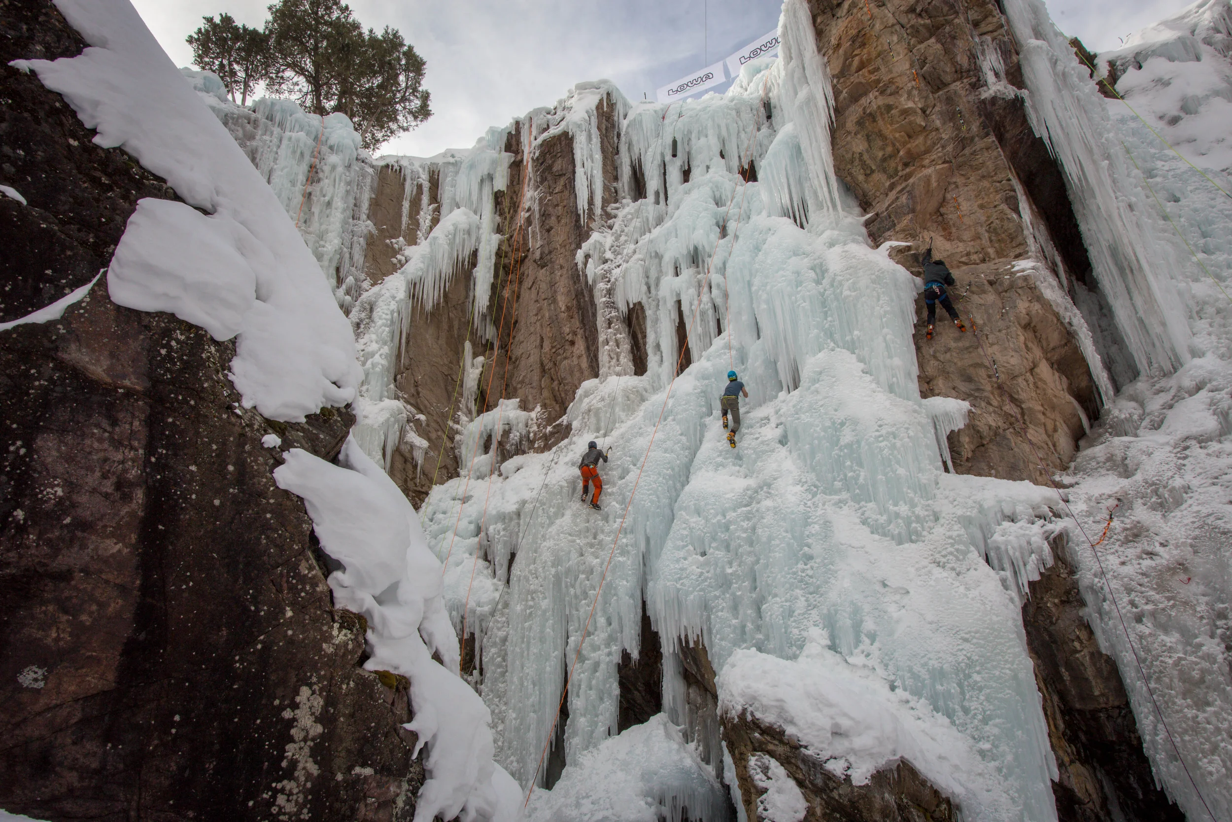 Shortcuts for Alpine Objectives with Tammy Faye