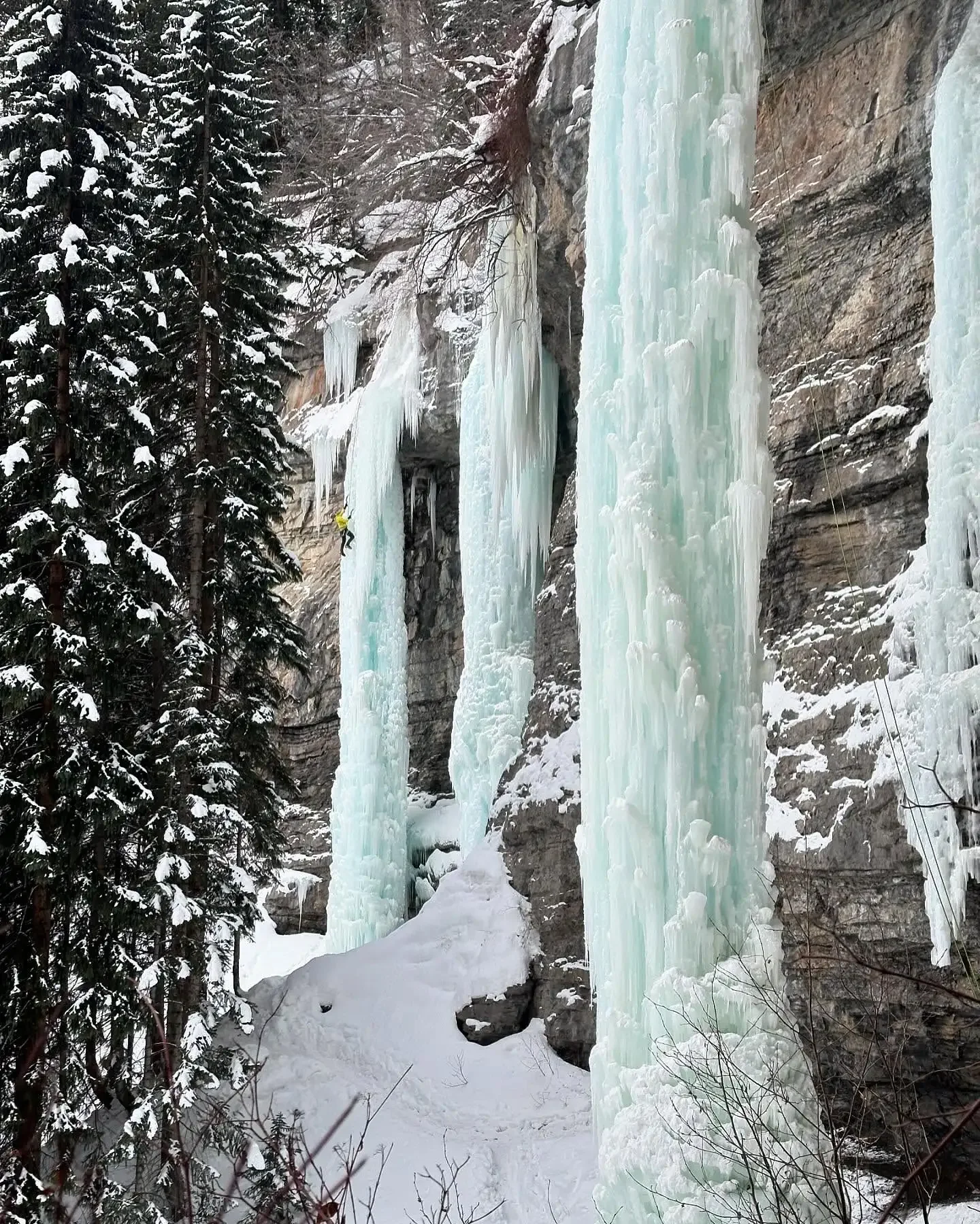 Guided Open Climbing Session