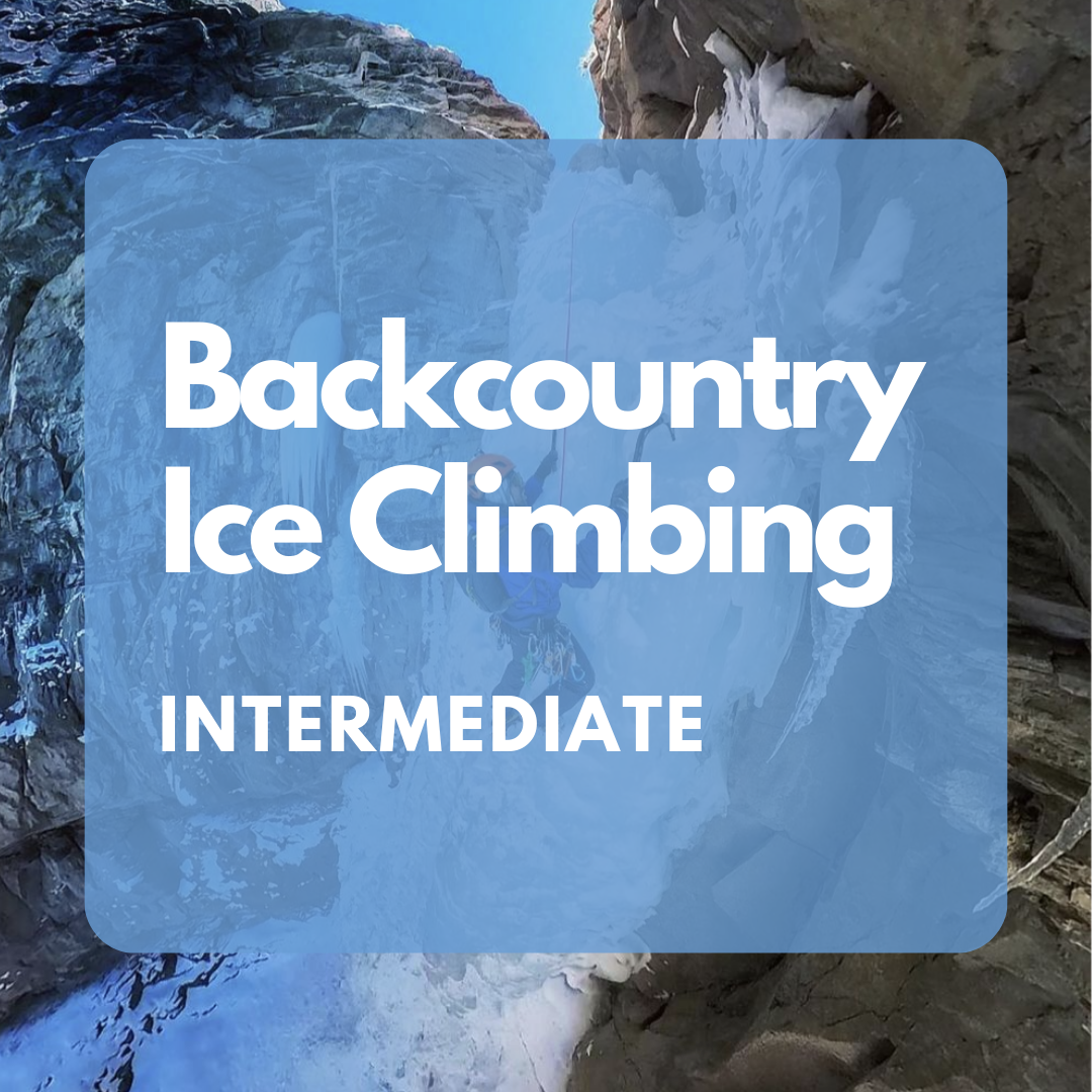 YETI Thin Ice Large - Backcountry & Beyond