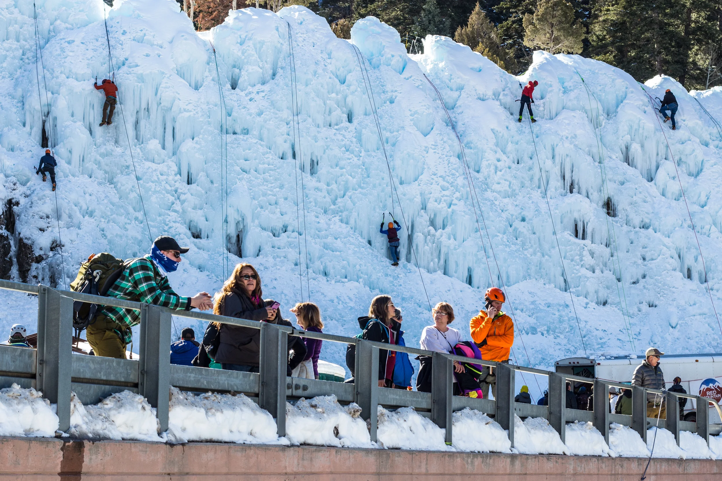 Novice Ice with Tammy Faye