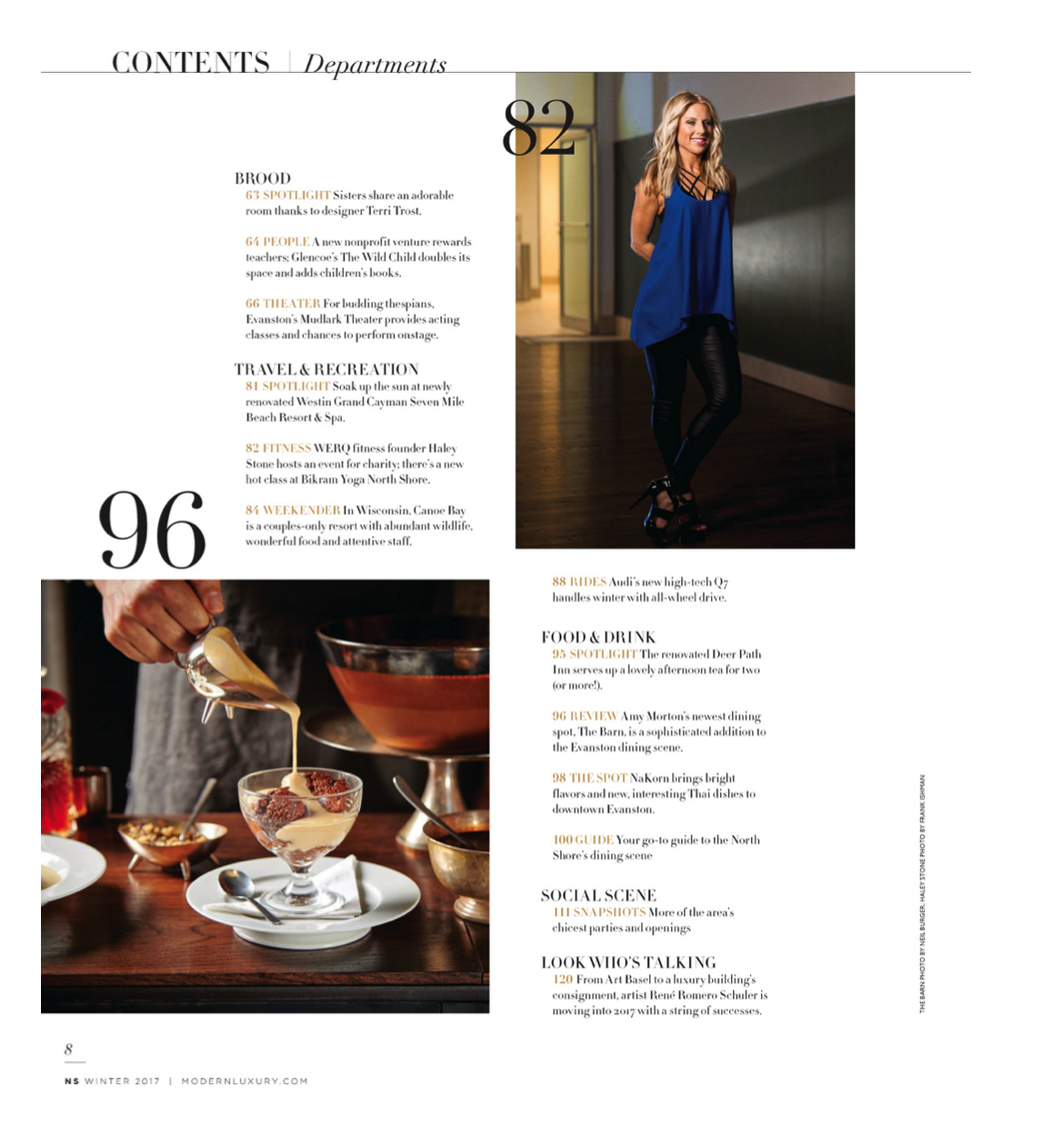 NS MODERN LUXURY JAN2017 CONTENTS.png