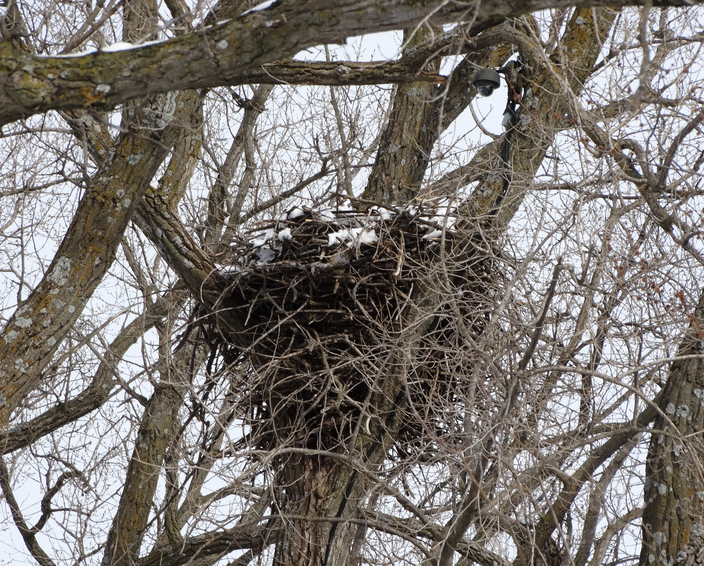 1Eagles-Nest.jpg
