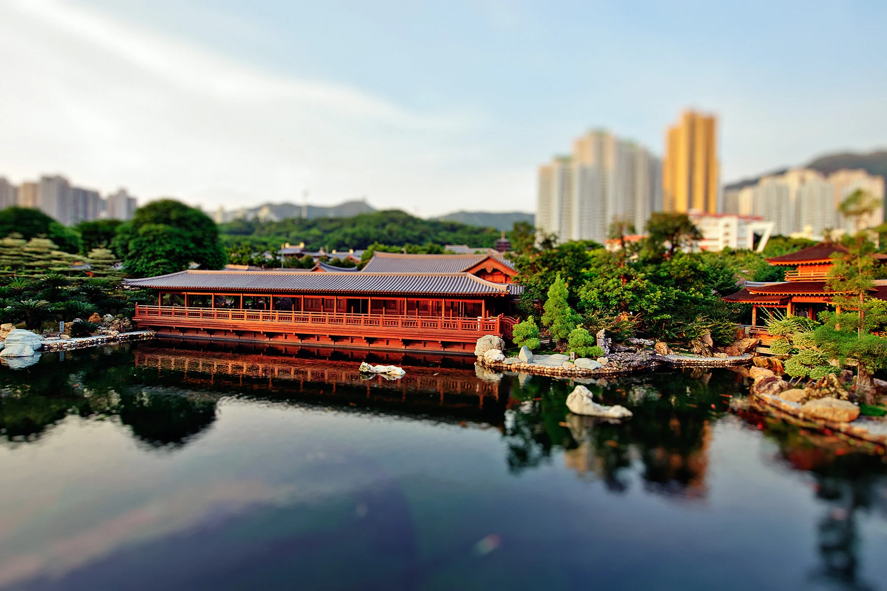_PRP6601hongkong.jpg