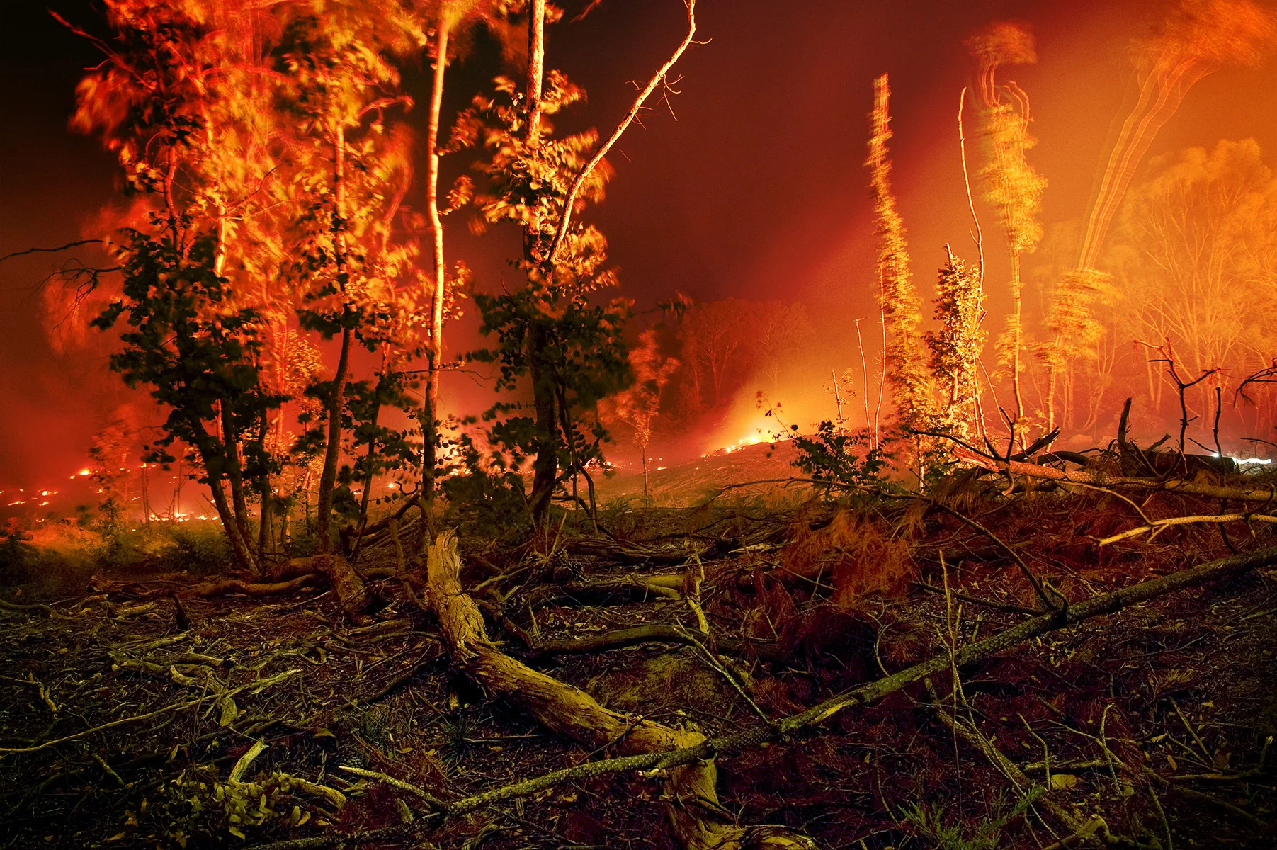 burn_forrest copy.jpg