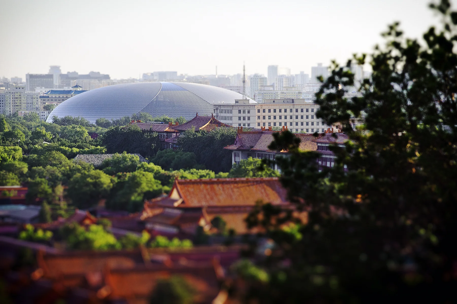 _PRP8026beijing.jpg
