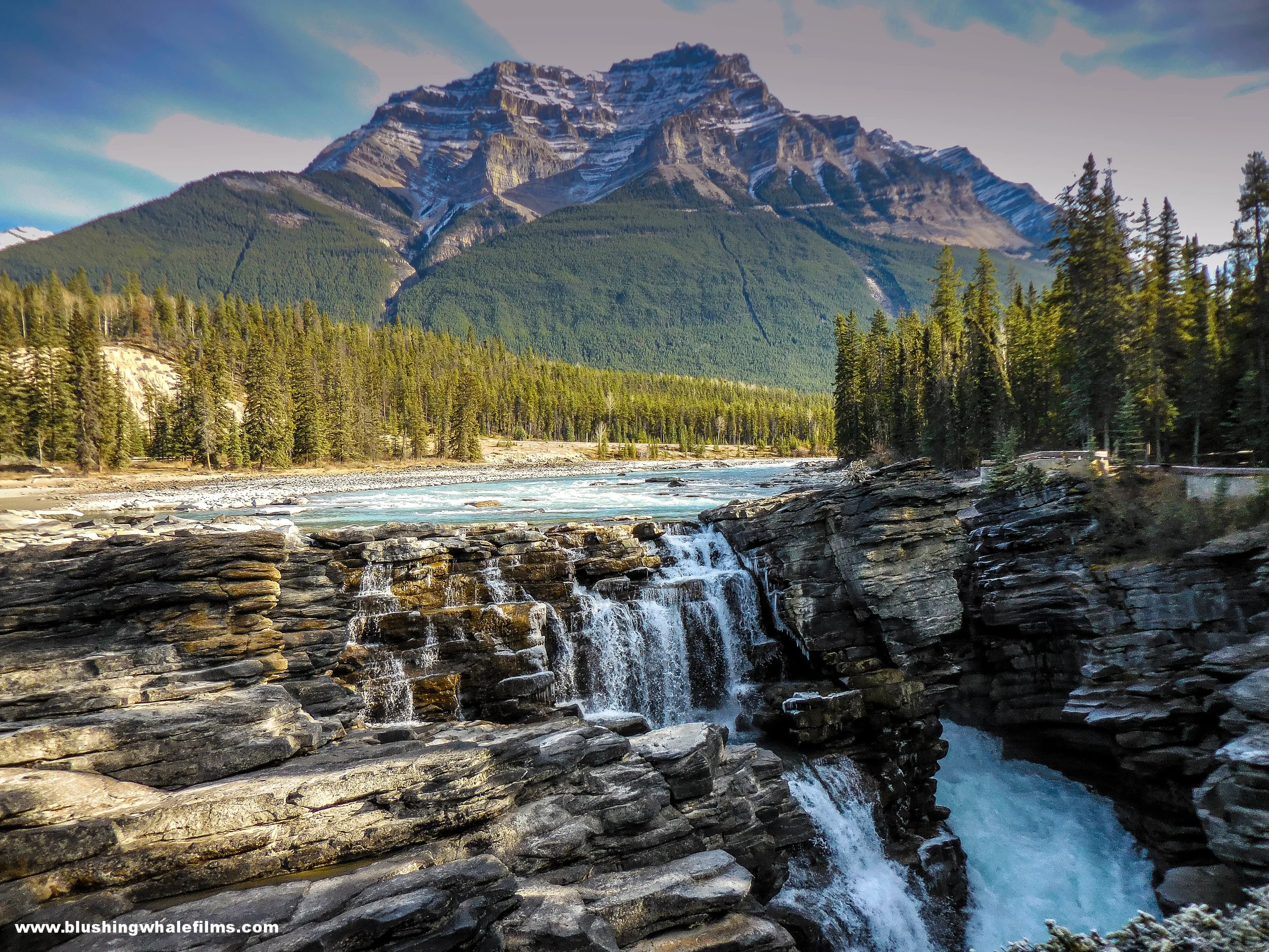 alberta3.jpg