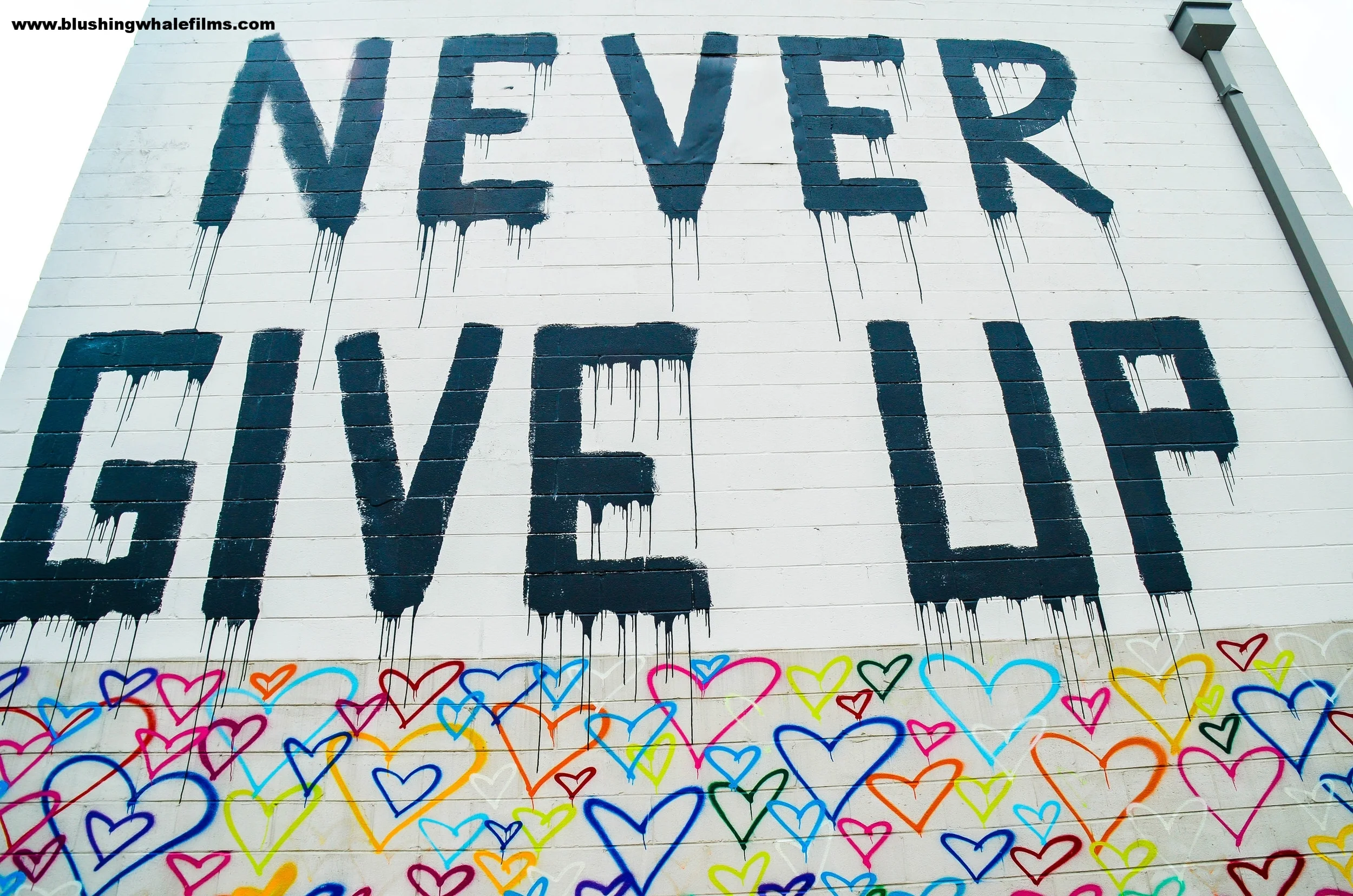 never.jpg
