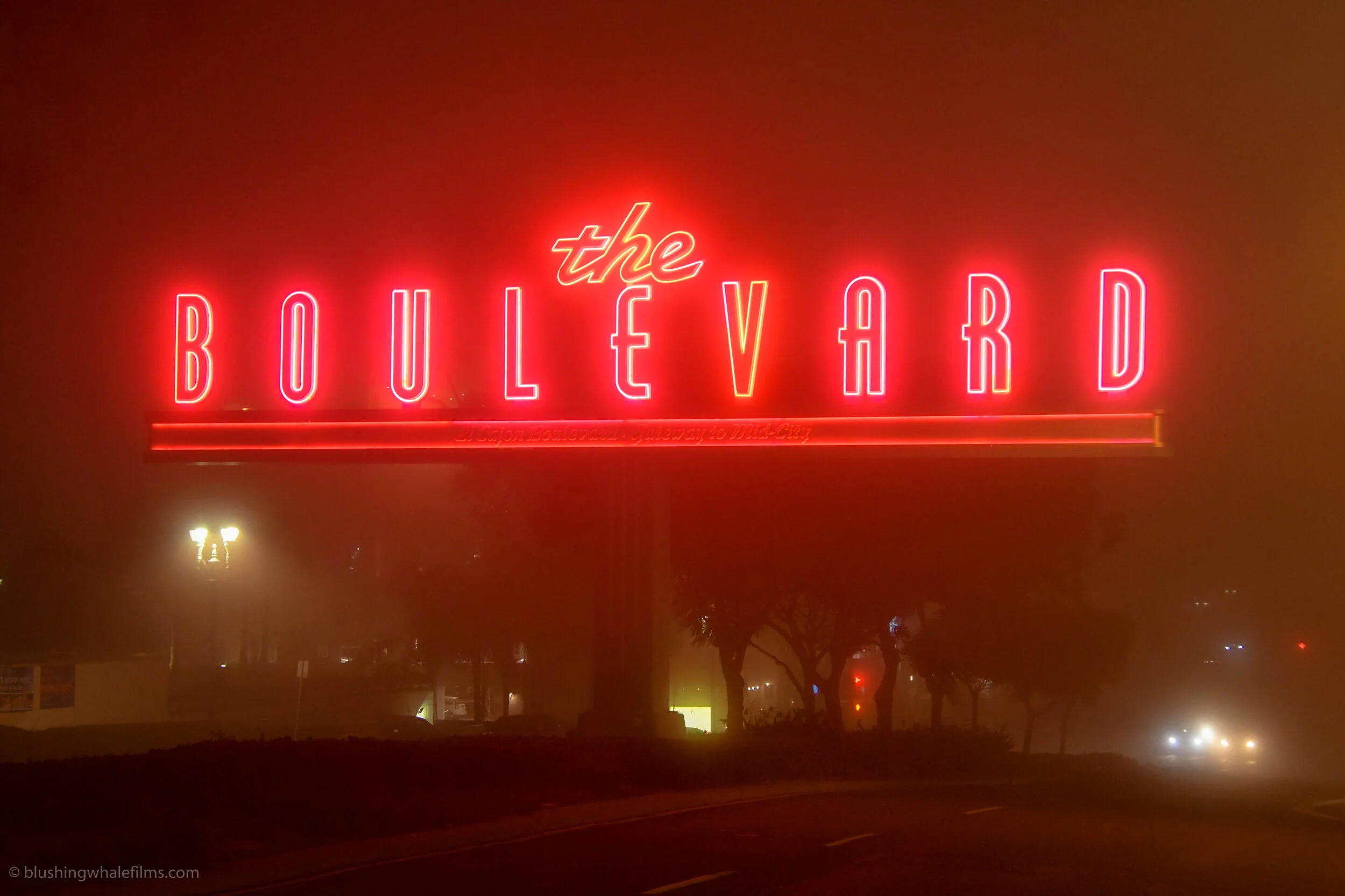 fog-2.jpg