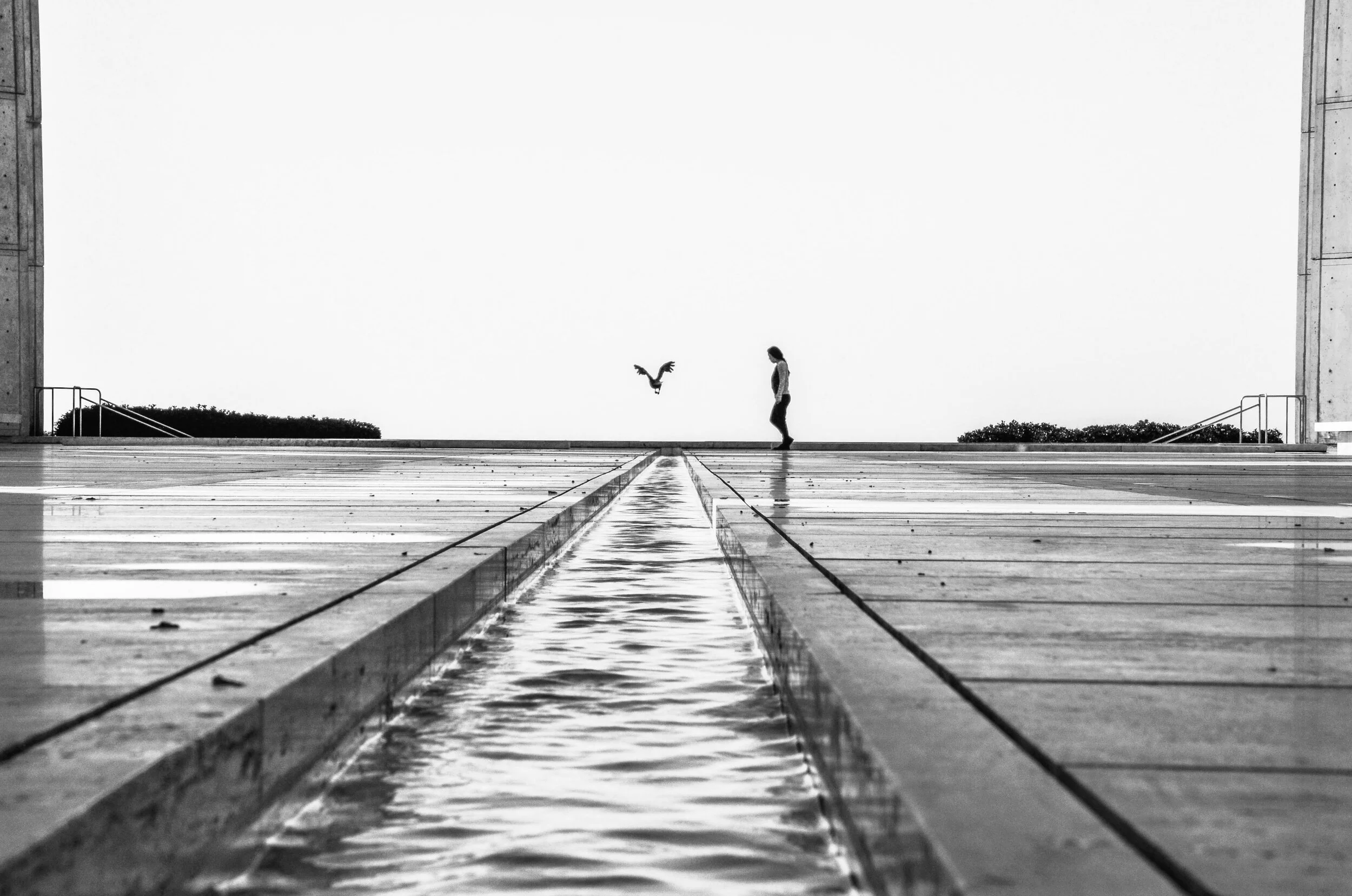 salk redux (25 of 40).jpg