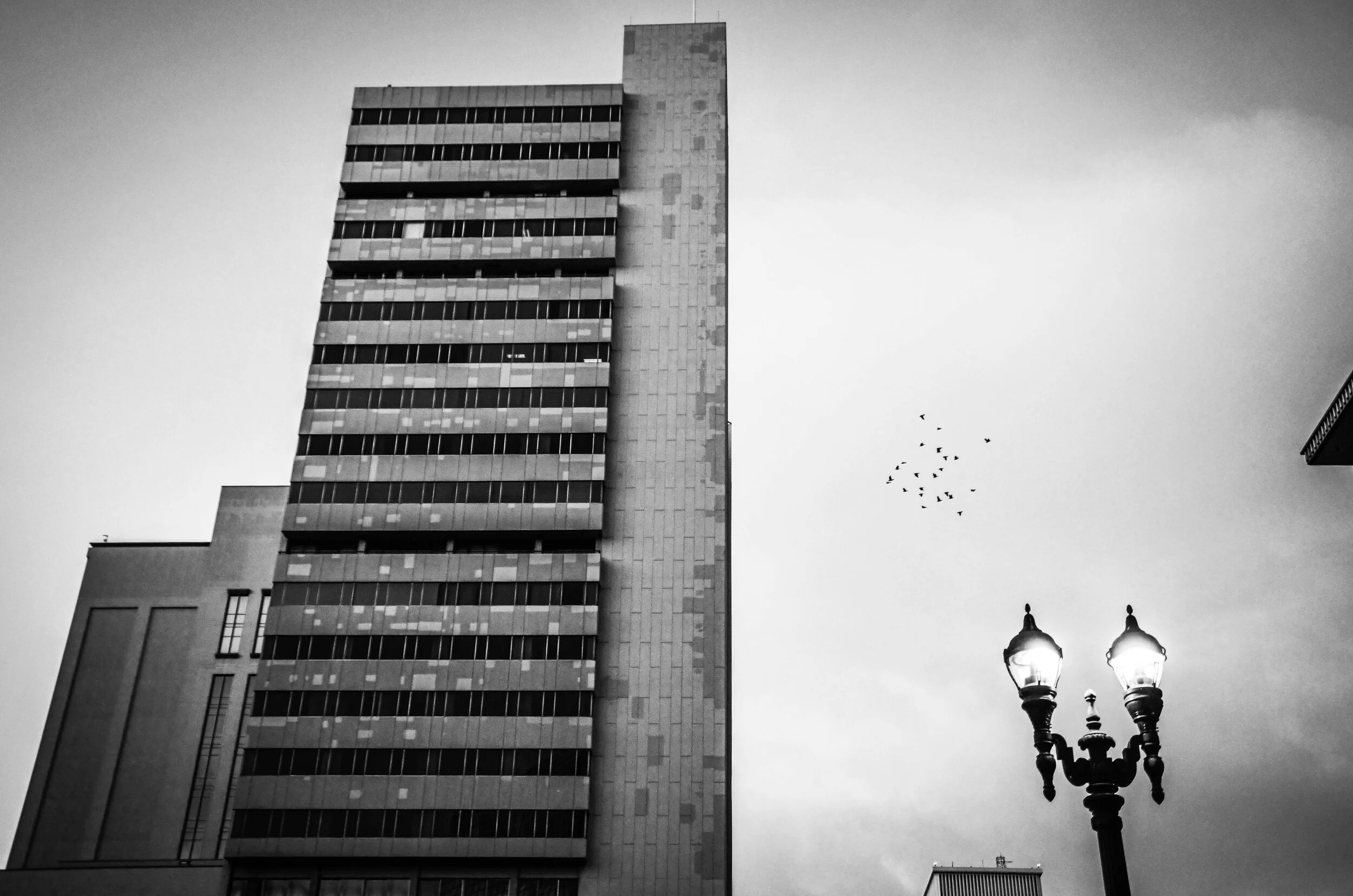 Seaport (21 of 26).jpg