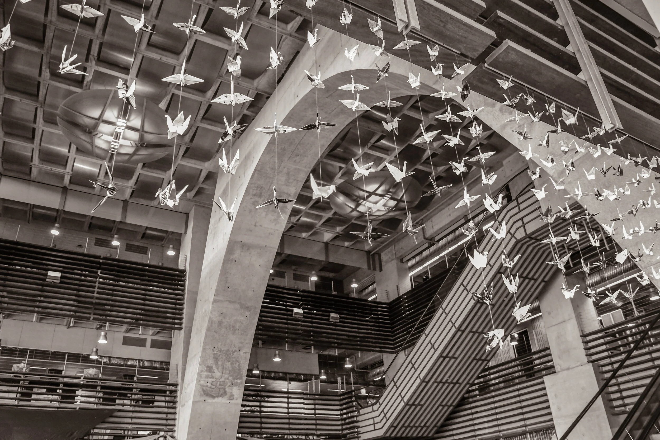 library (11 of 43).jpg