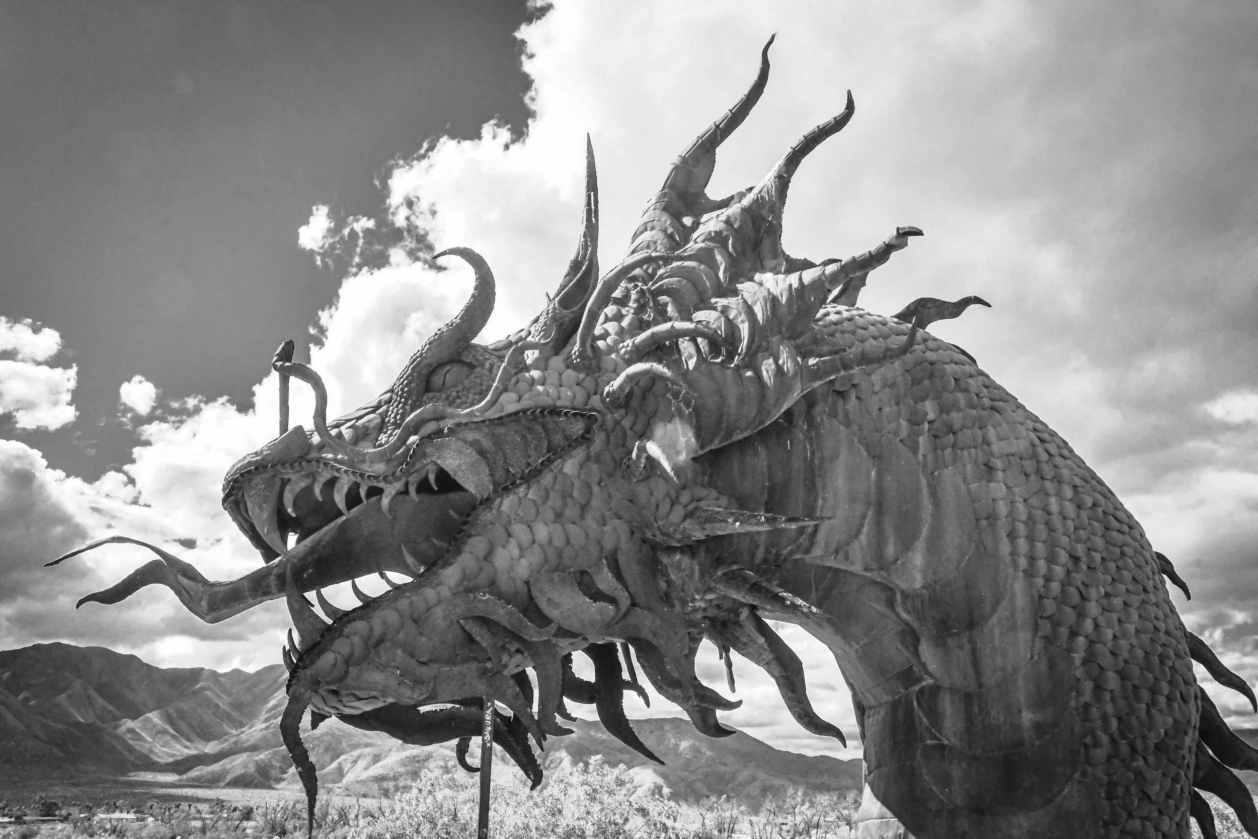 Borrego (39 of 48).jpg