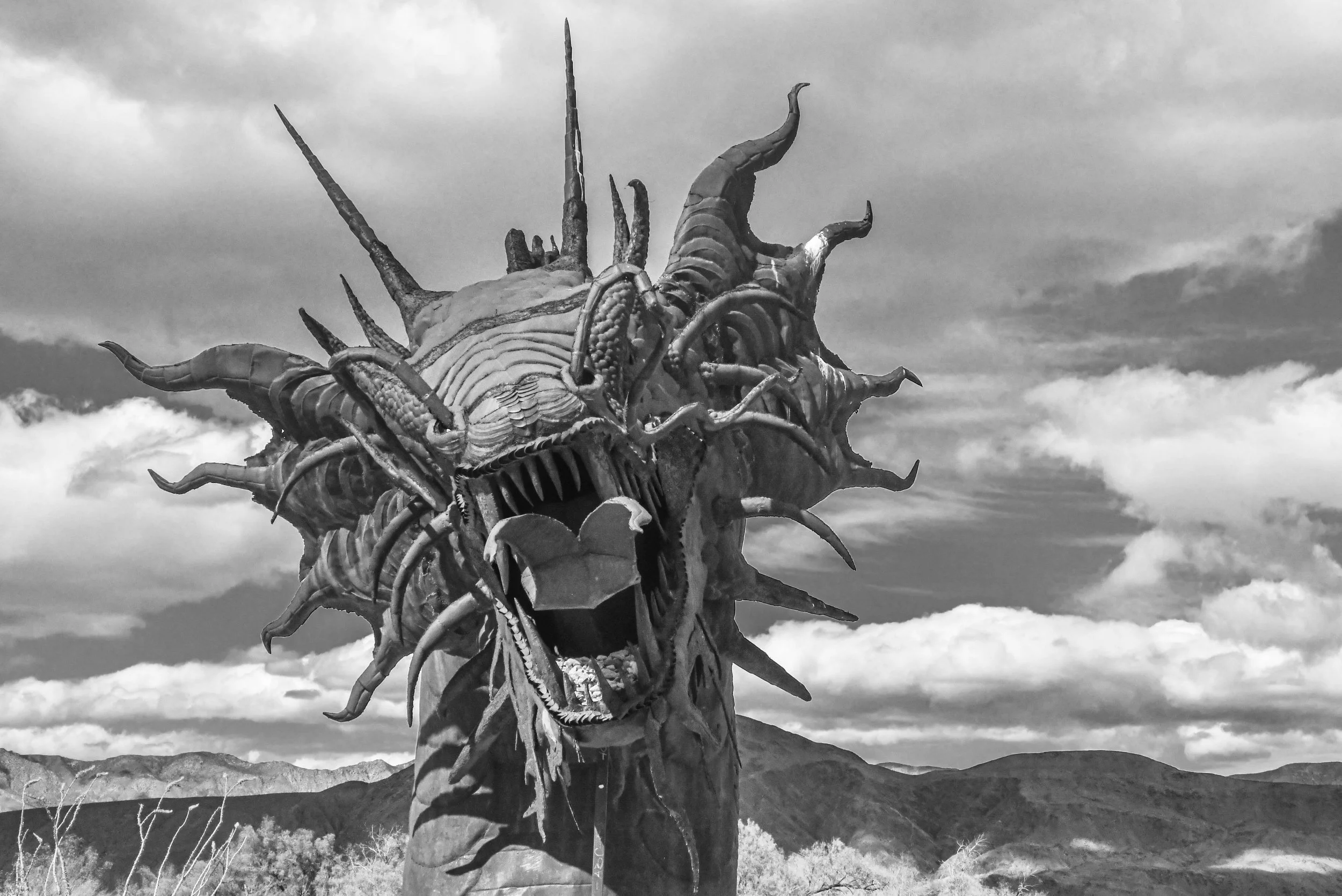 Borrego (38 of 48).jpg