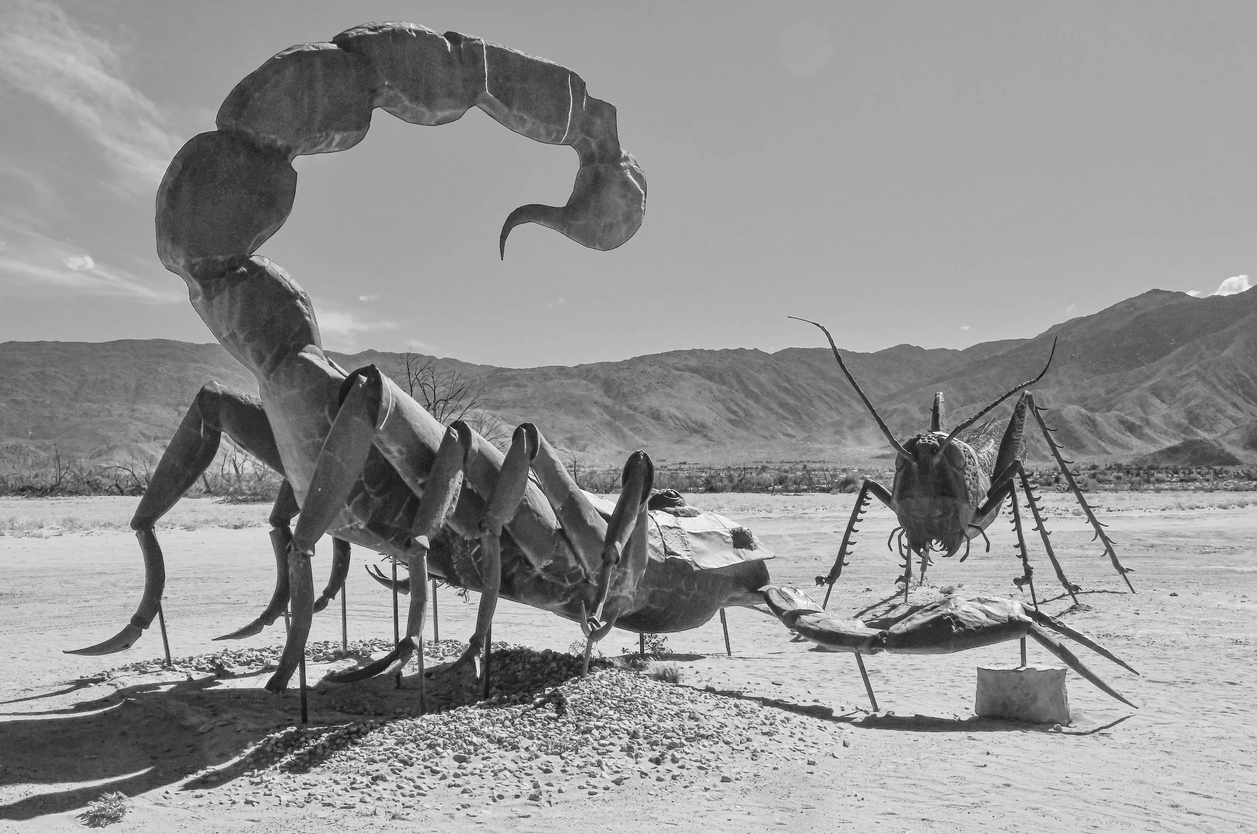 Borrego (15 of 48).jpg