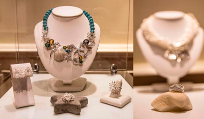 Collection inspired by Natural Heritage Site of Humanity (UNESCO, 1997)