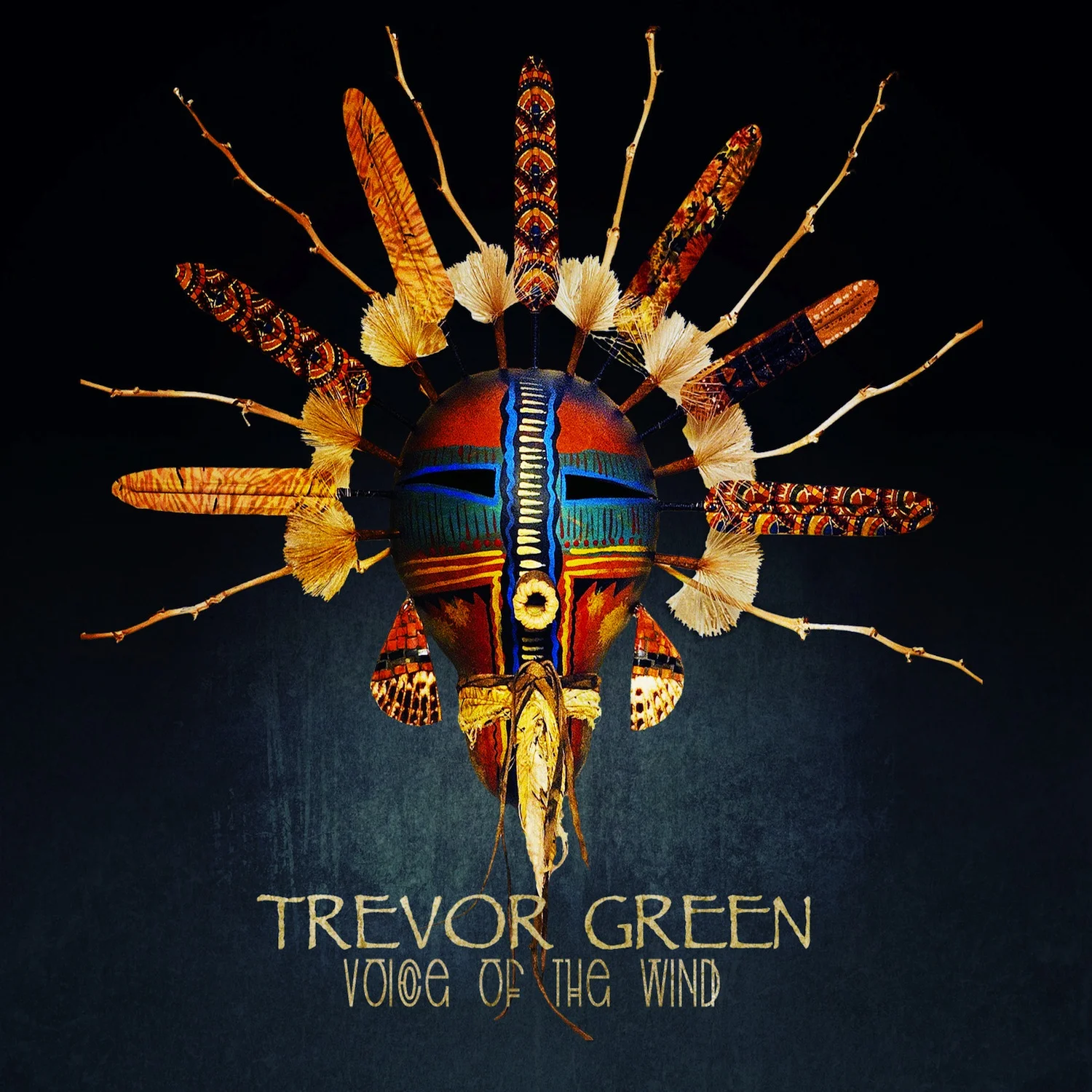 Voice-of-the-wind-final_cover.jpg