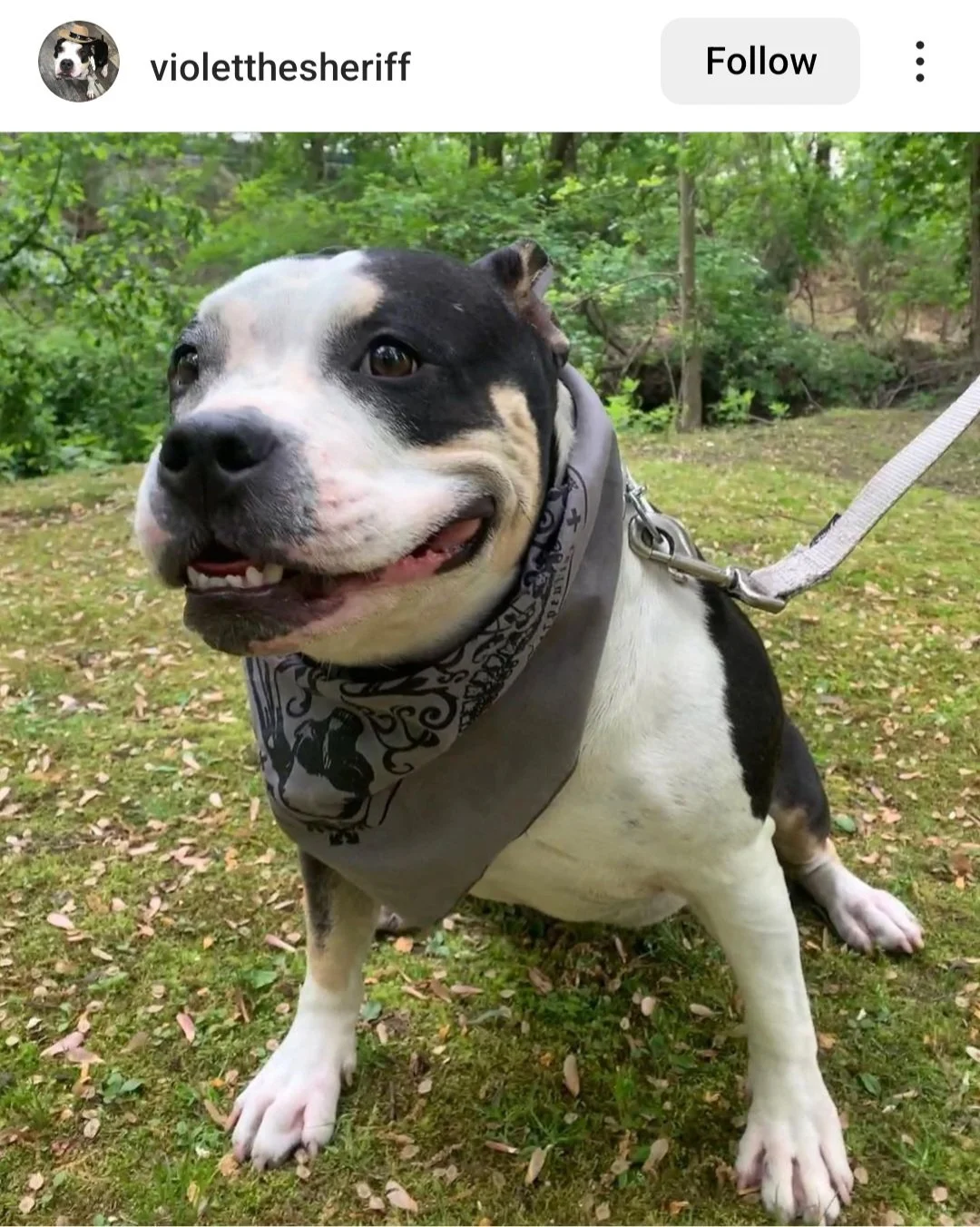 Screenshot_20230913_122143_Instagram 2.jpg