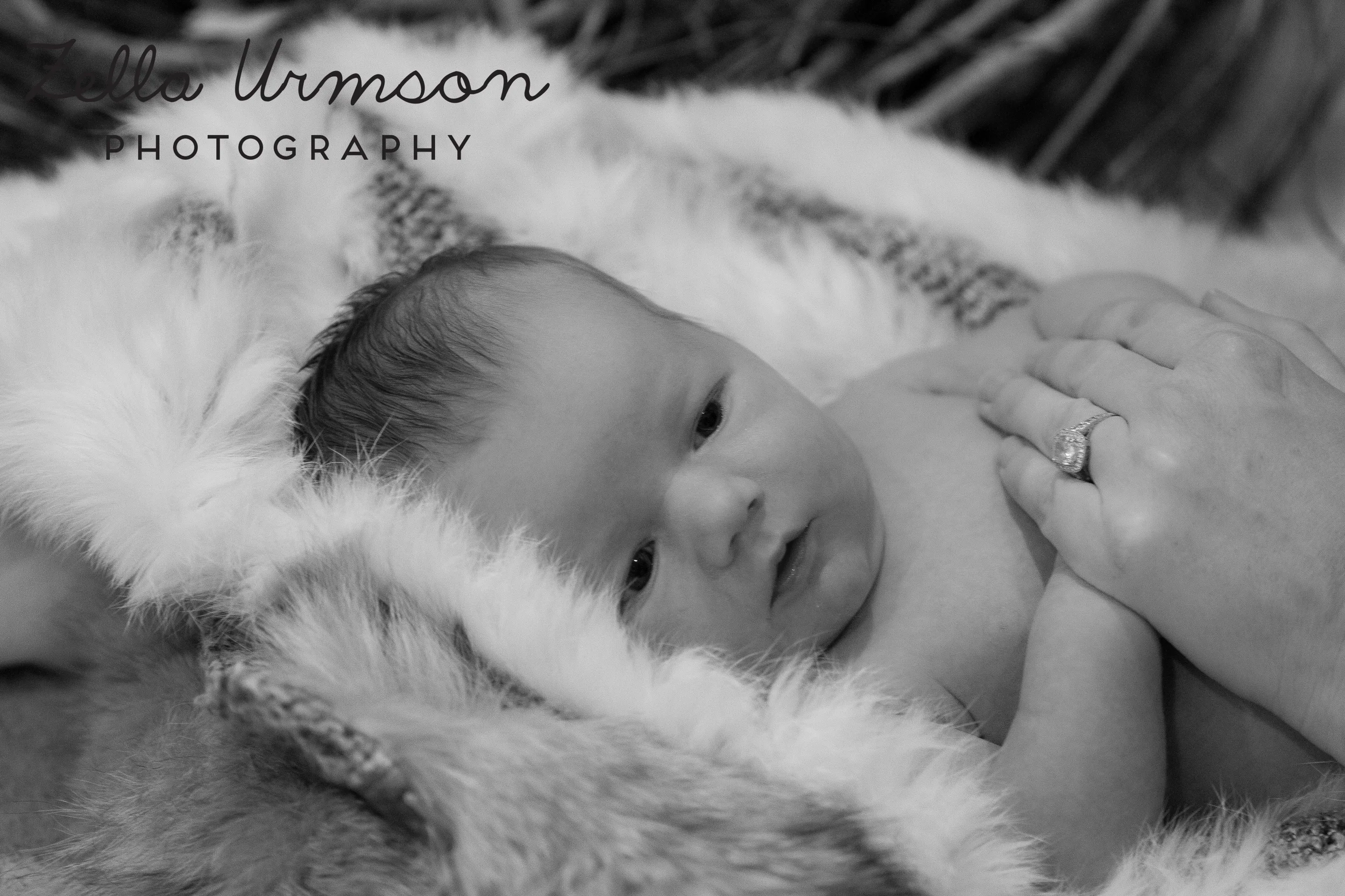 Campbell to Post-55.JPG